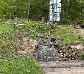 1703 Matawatchan Road N