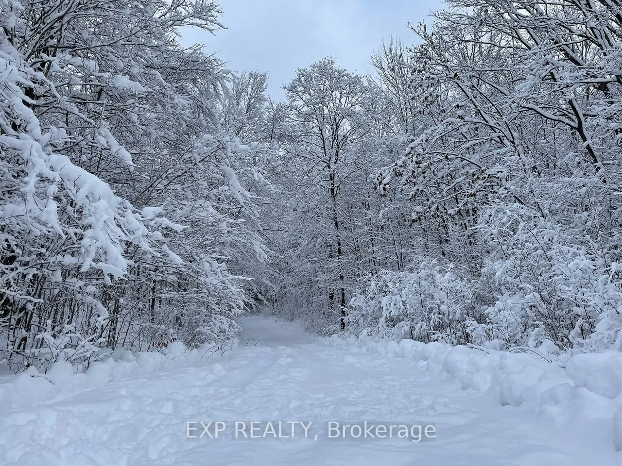 1703 Matawatchan Road N