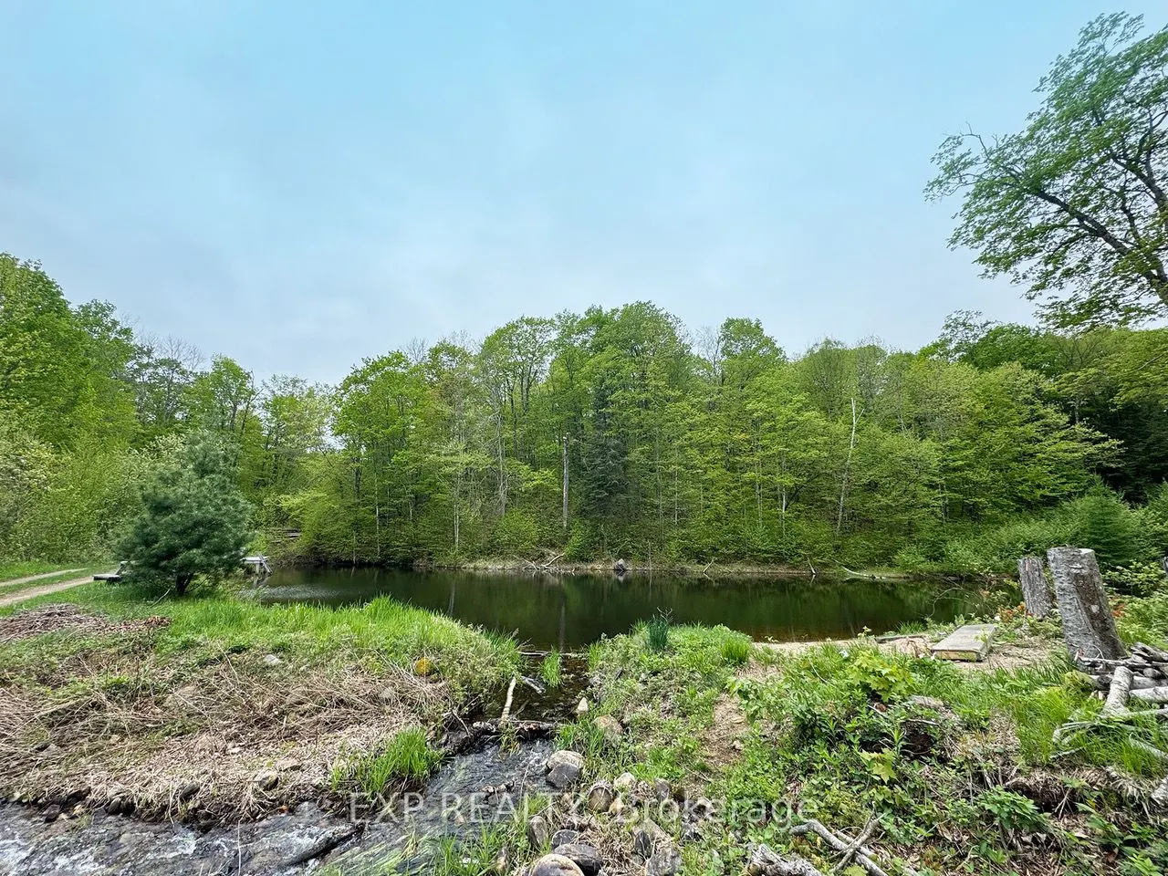 1703 Matawatchan Road N