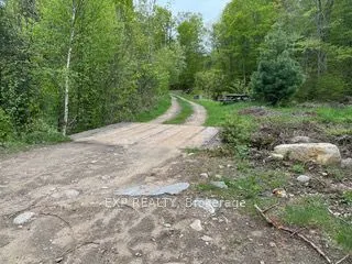 1703 Matawatchan Road N