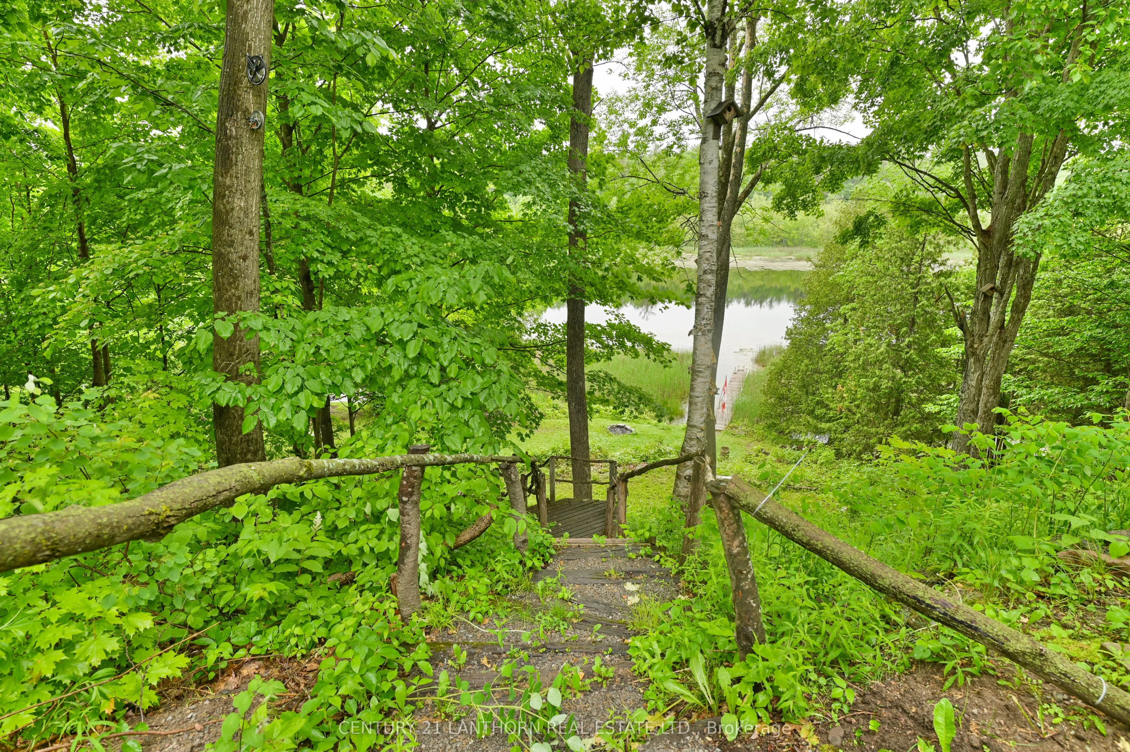135 Camp Lane