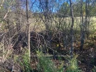 Lot Flagg Road