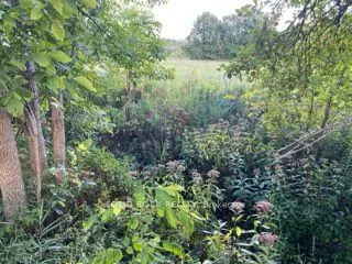 Lot Flagg Road