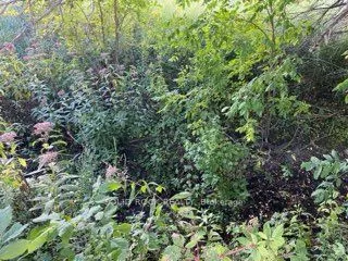 Lot Flagg Road