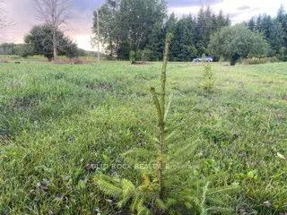 Lot Flagg Road