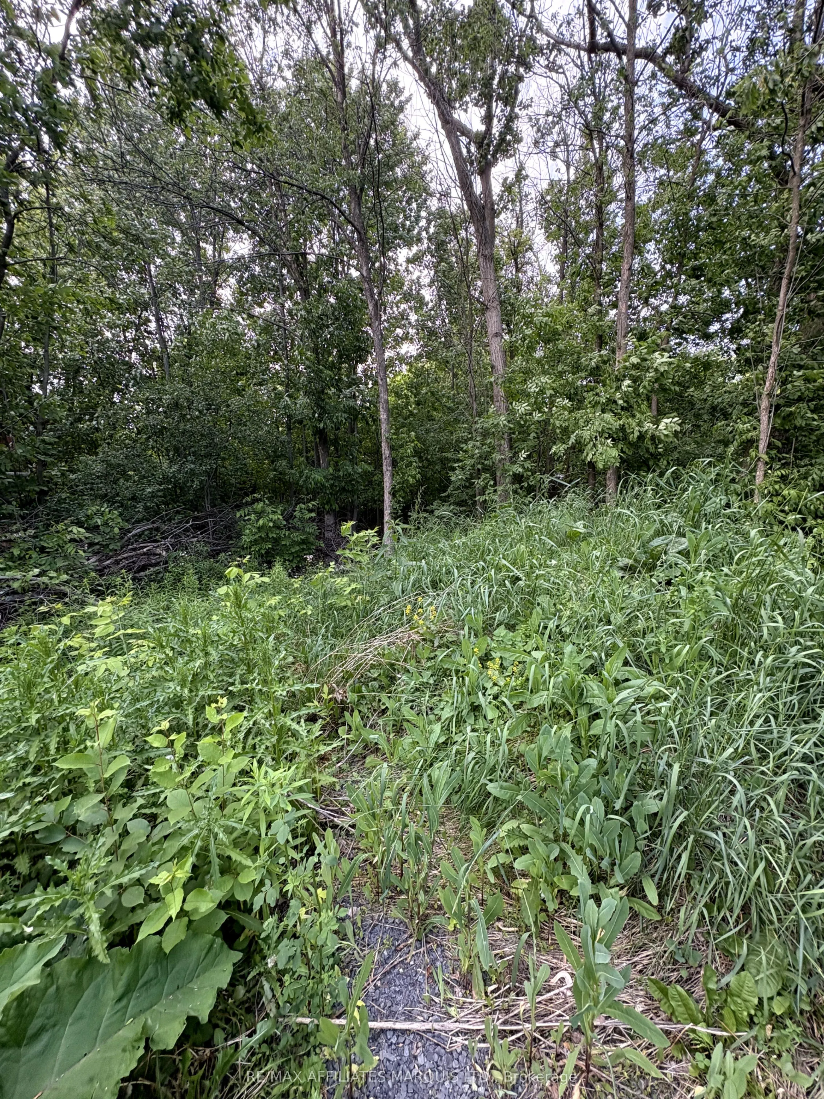 LOT County Road 28 Road N