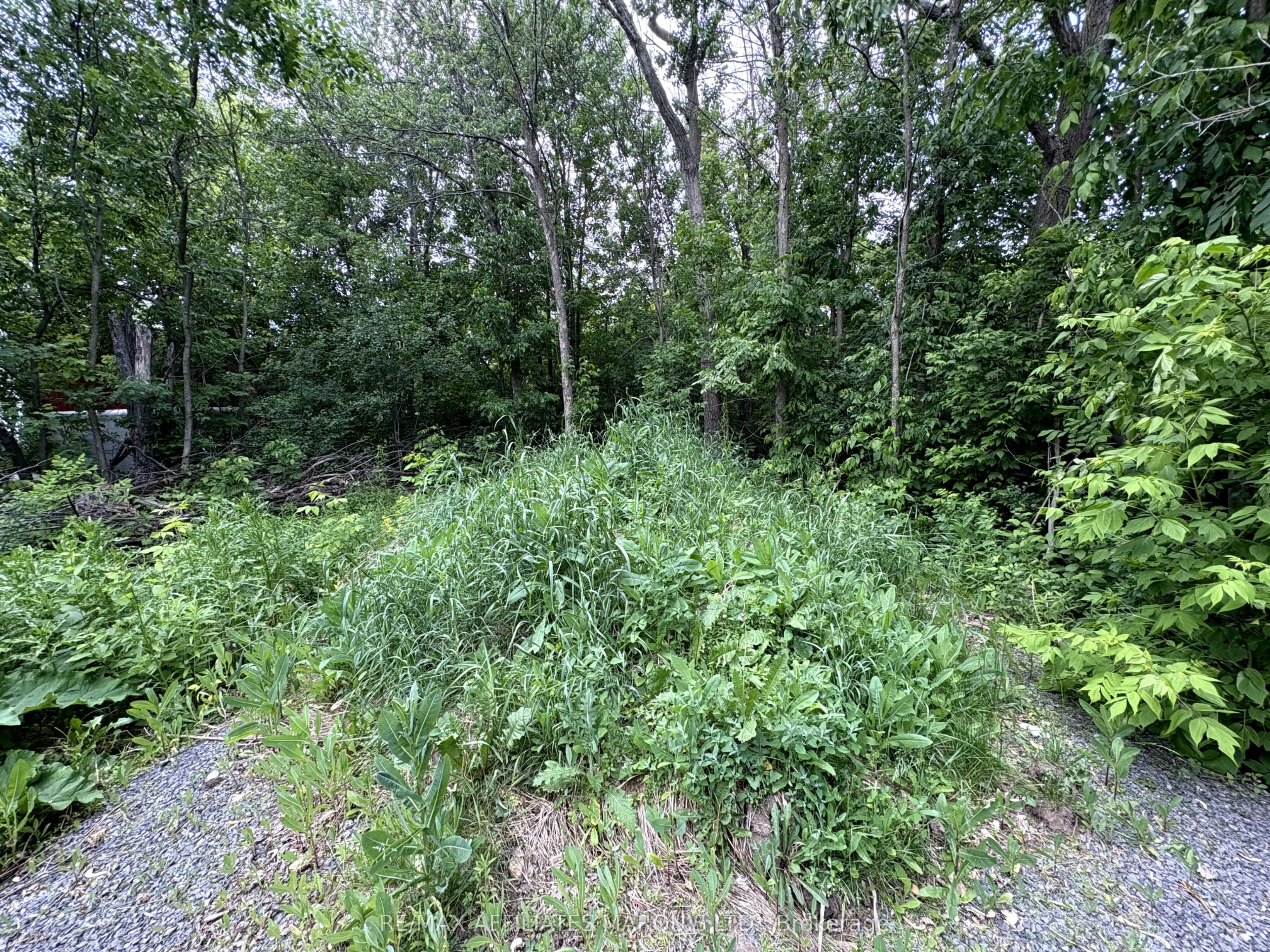 LOT County Road 28 Road N