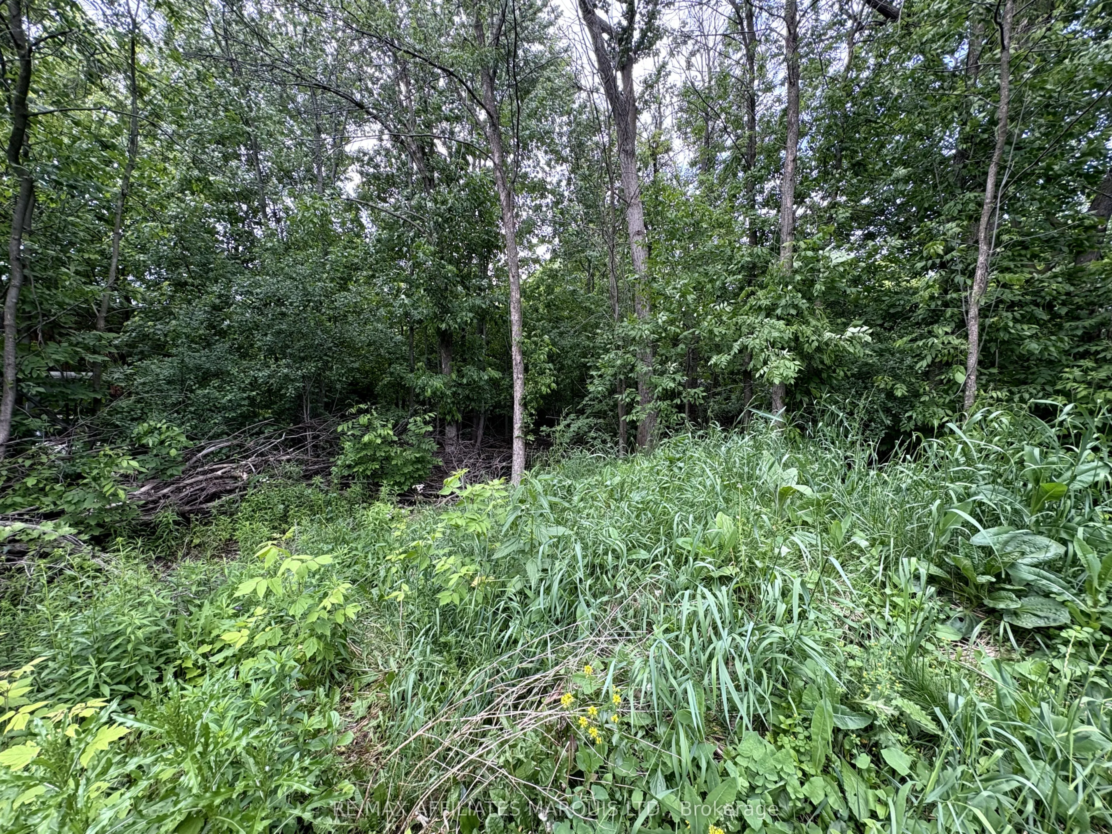 LOT County Road 28 Road N