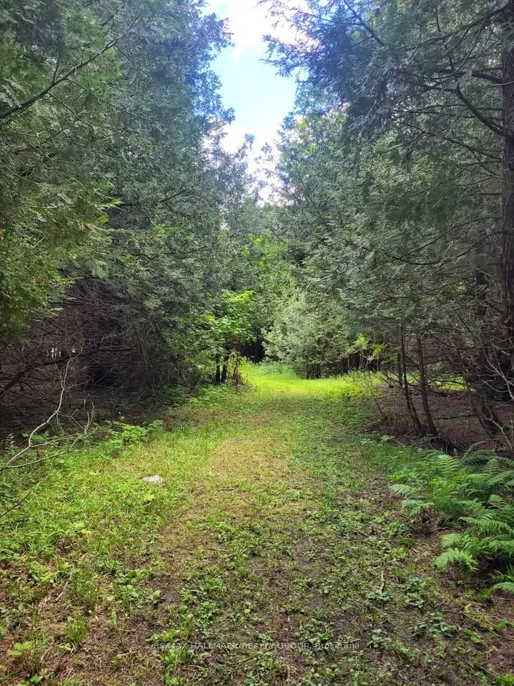 1352 County 43 Road Highway W
