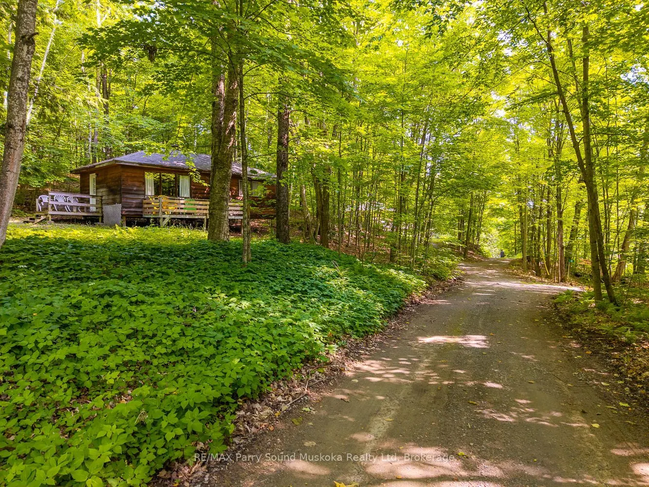 40 Loon Echo Tl Trail
