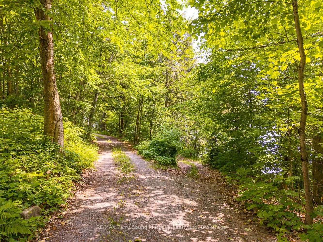 40 Loon Echo Tl Trail