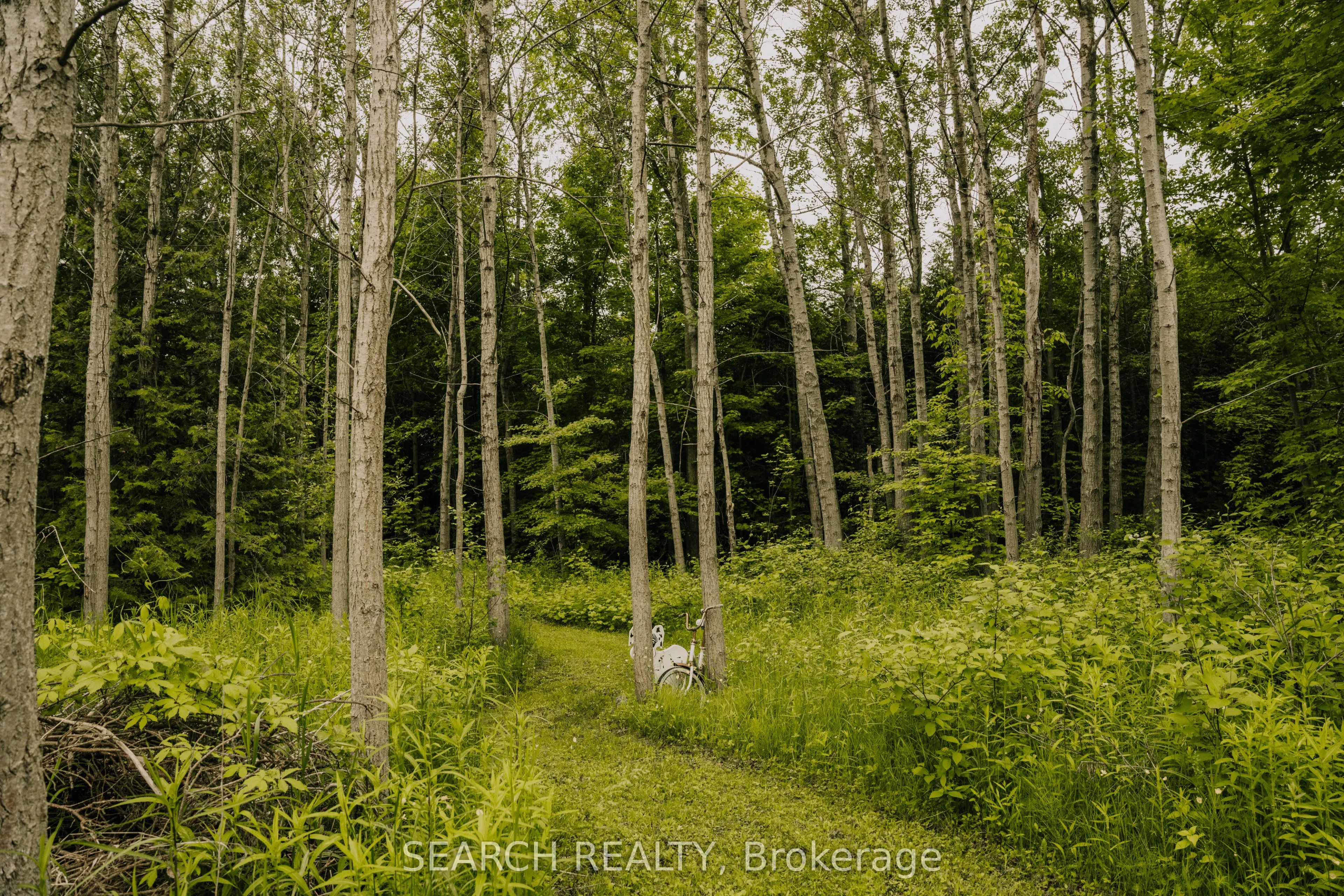 014104 Bruce County  Road 10 Road