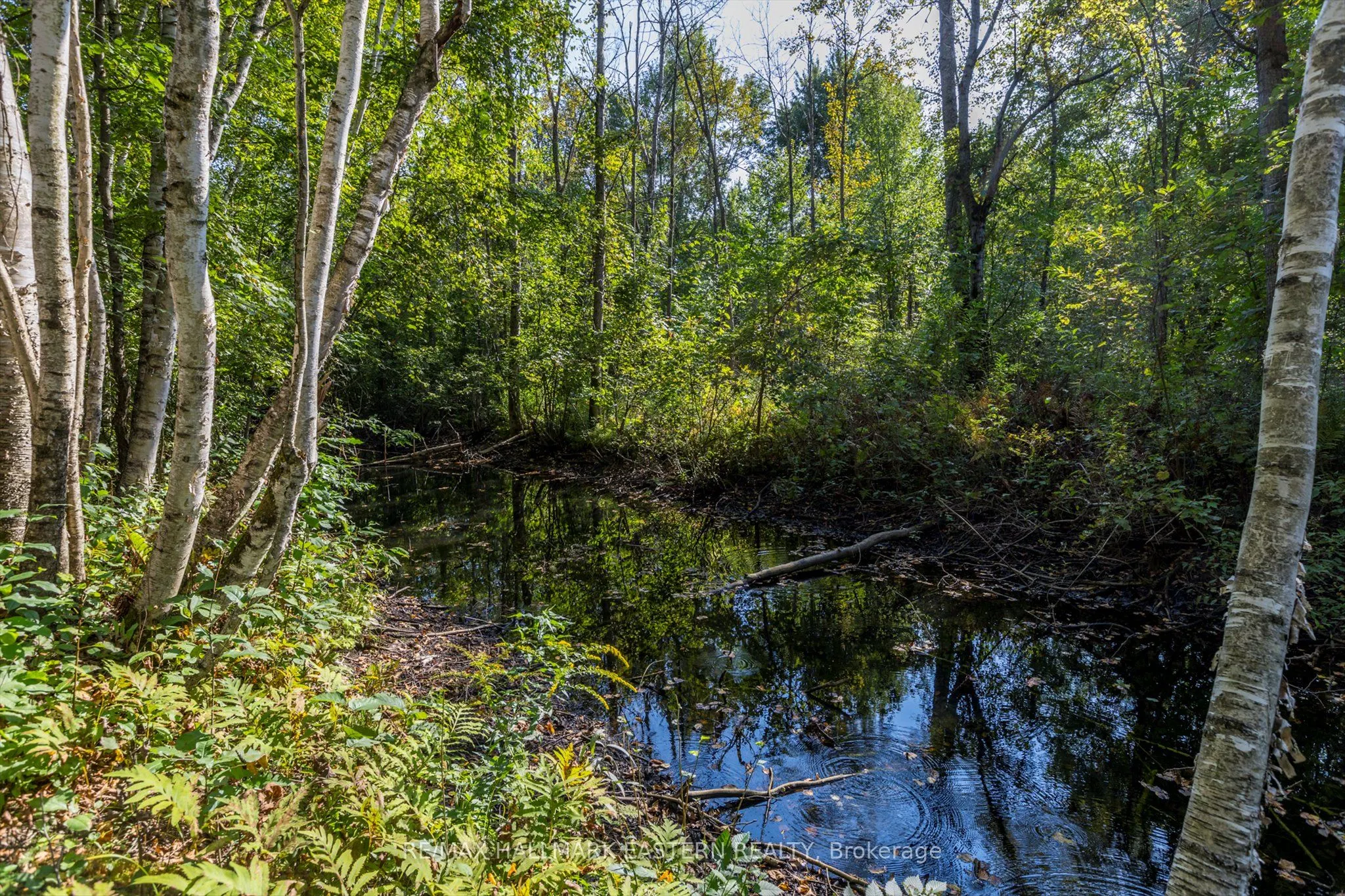 Lot 13 Trent River Road