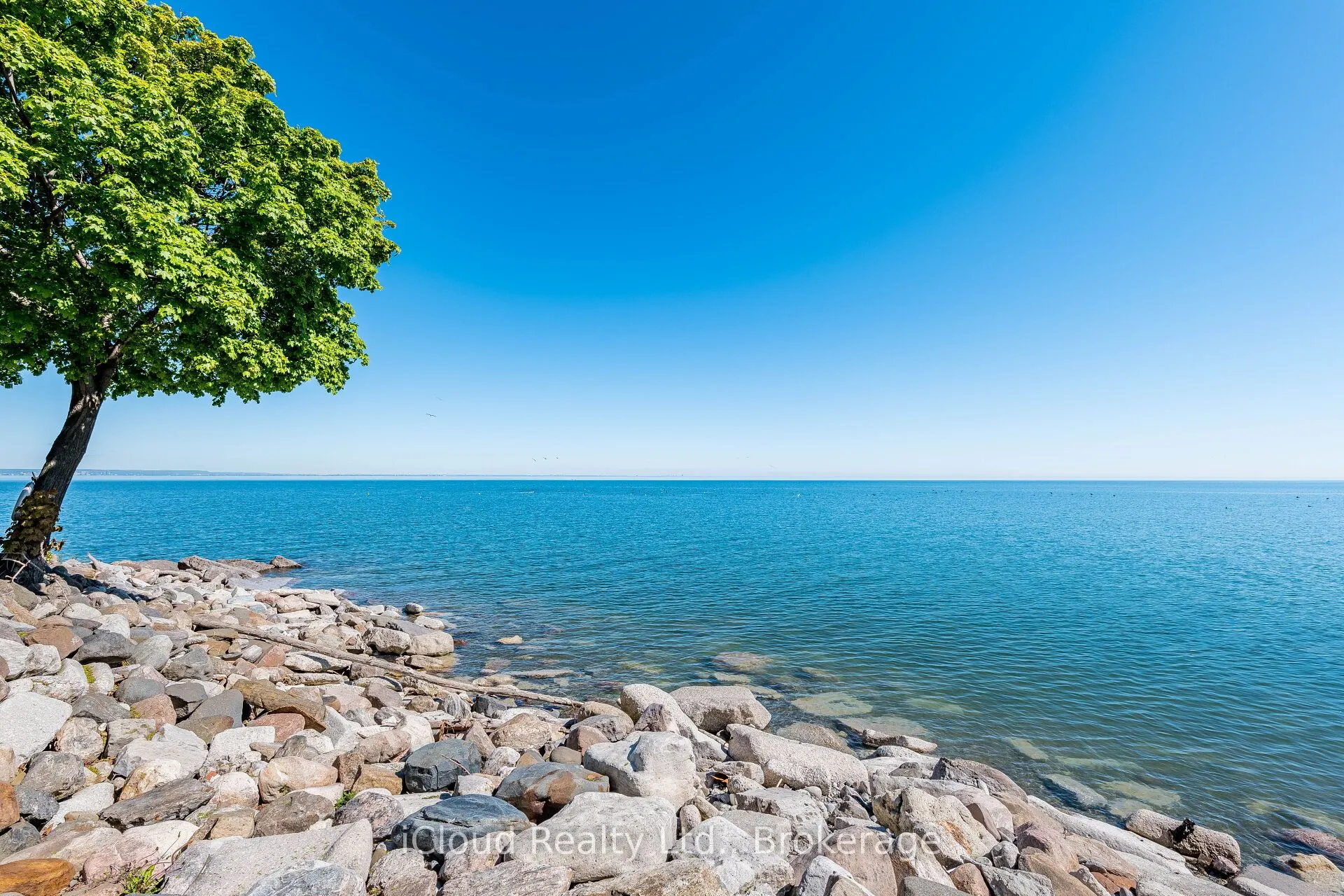 45 Seabreeze Crescent, #20