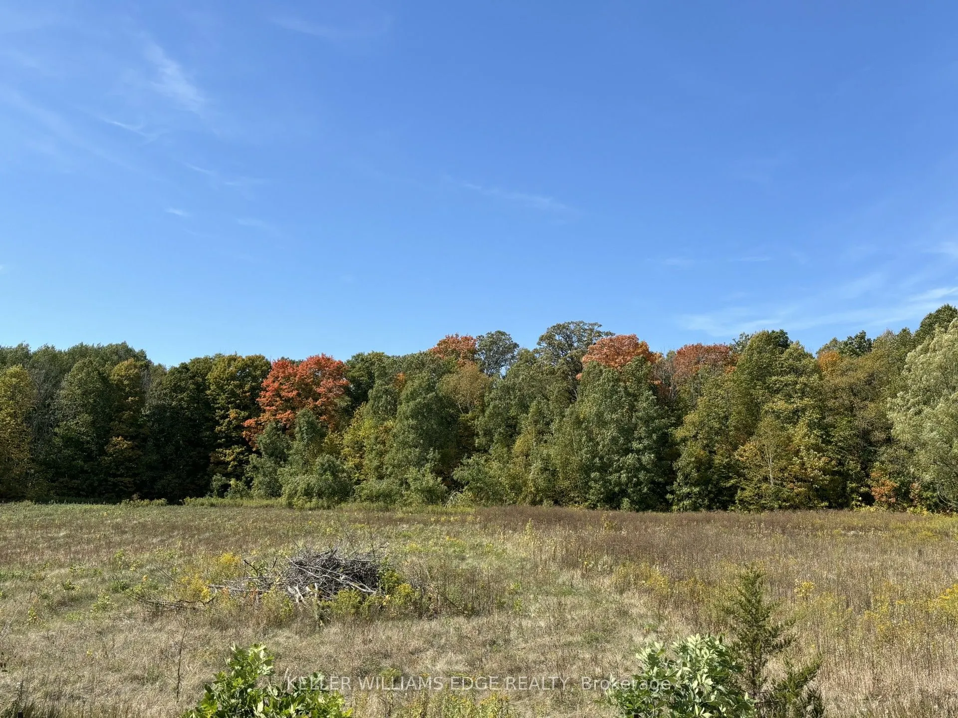 0 COUNTY ROAD 16 Road, #LOT B