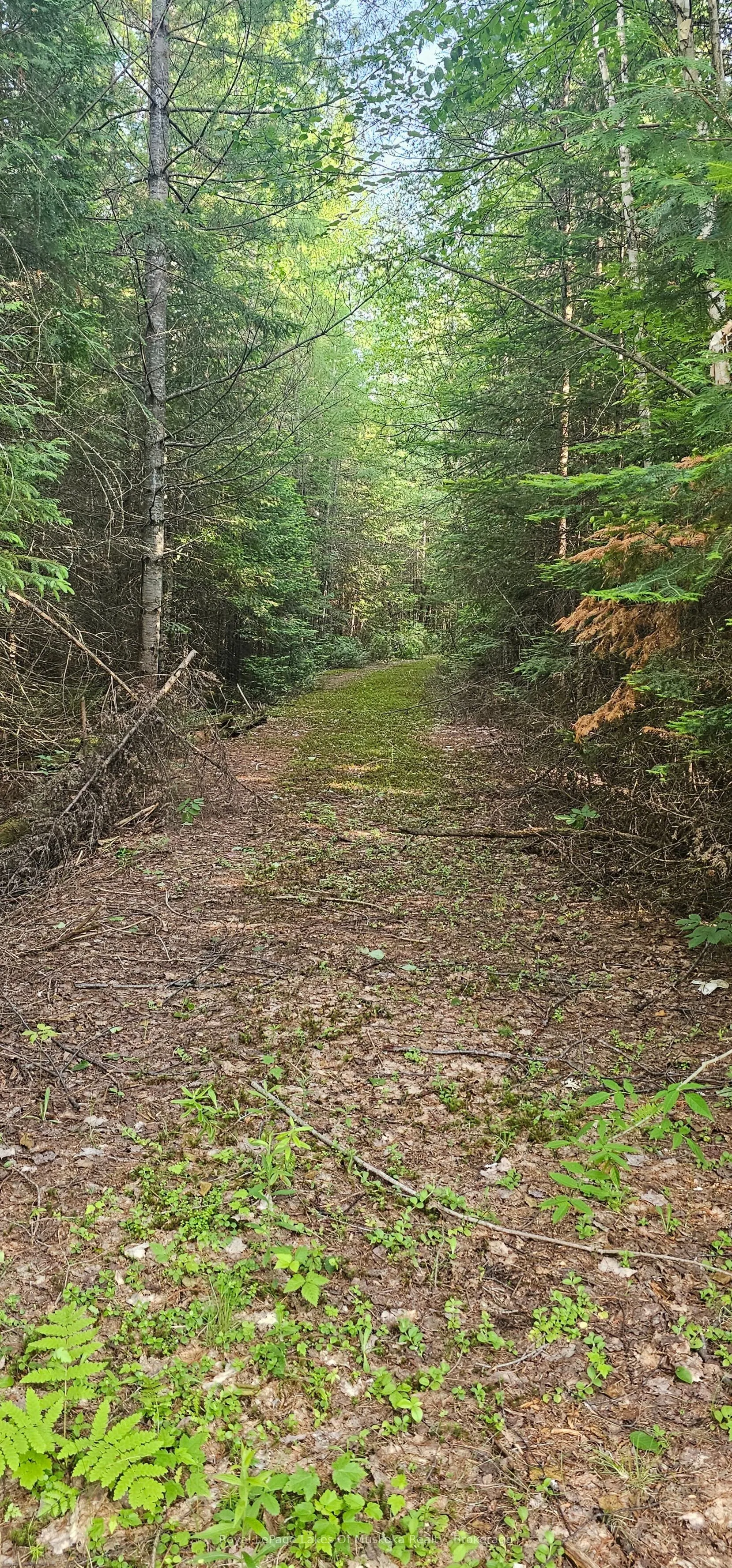 95 Fish Lake Road