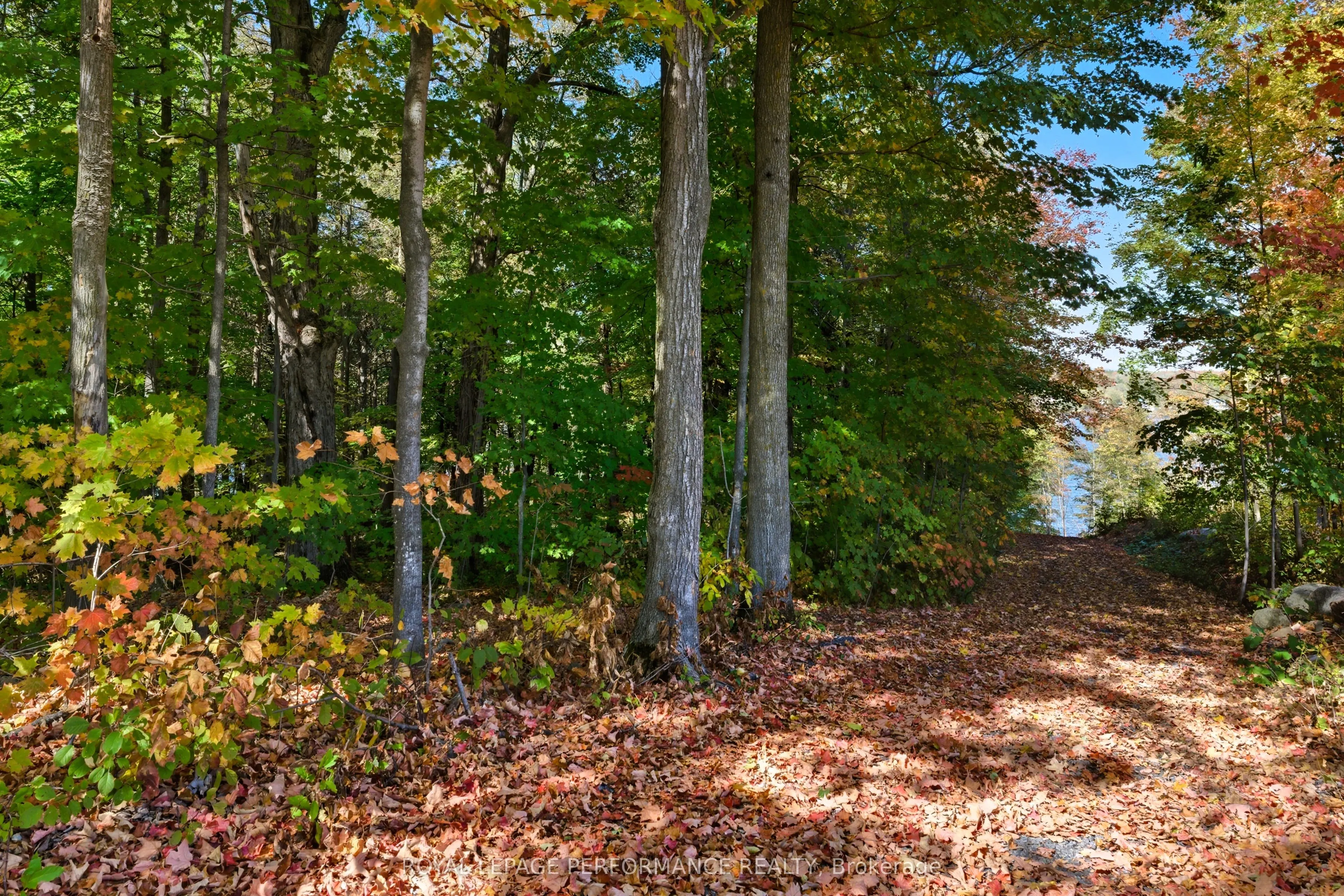 2505 Front Road