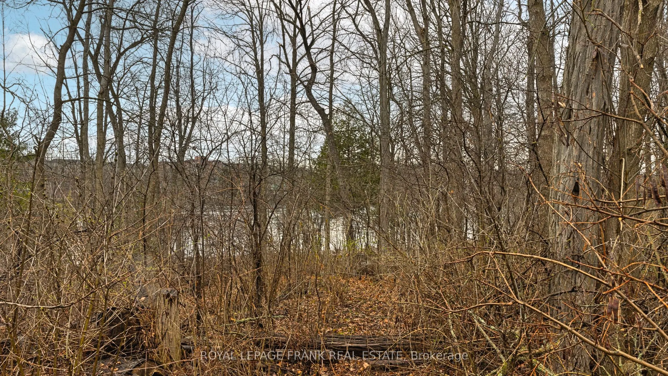 21 Paddock Wood, #1