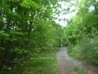 00000 Penyck Lane