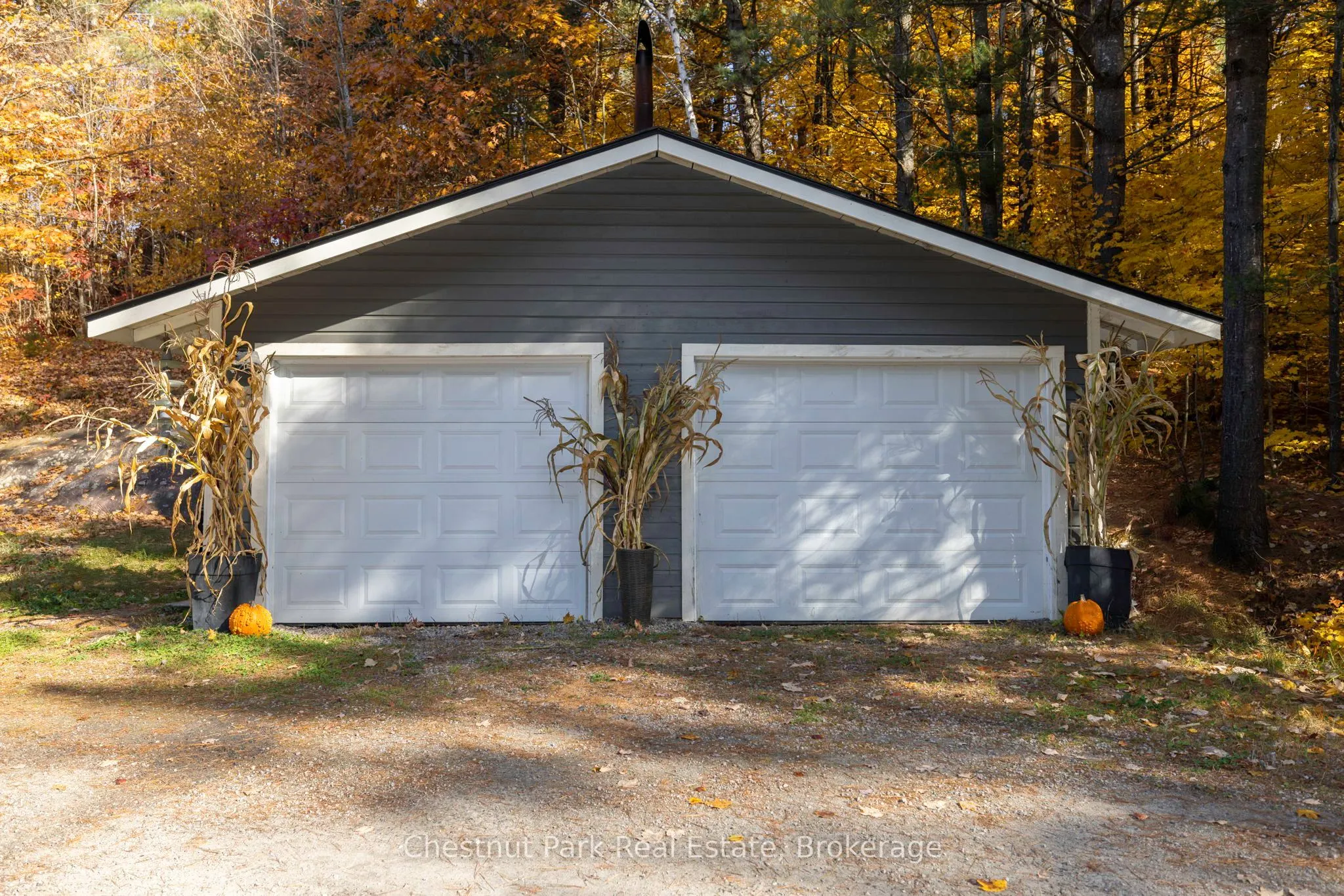 1236 Butter & Egg Road