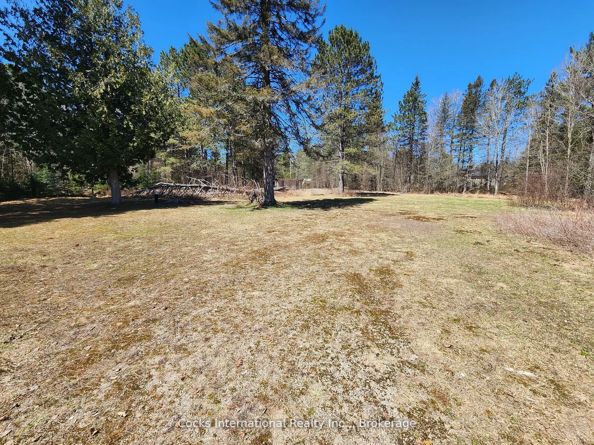 10356 Highway 124