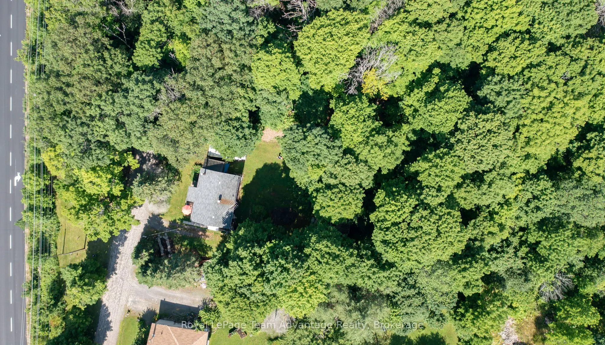 9 Woods Lane