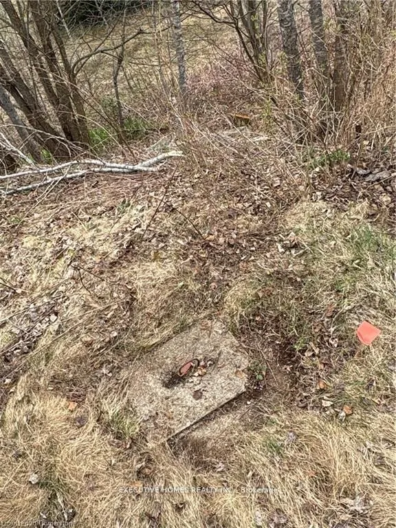 1014 BULRUSH Trail