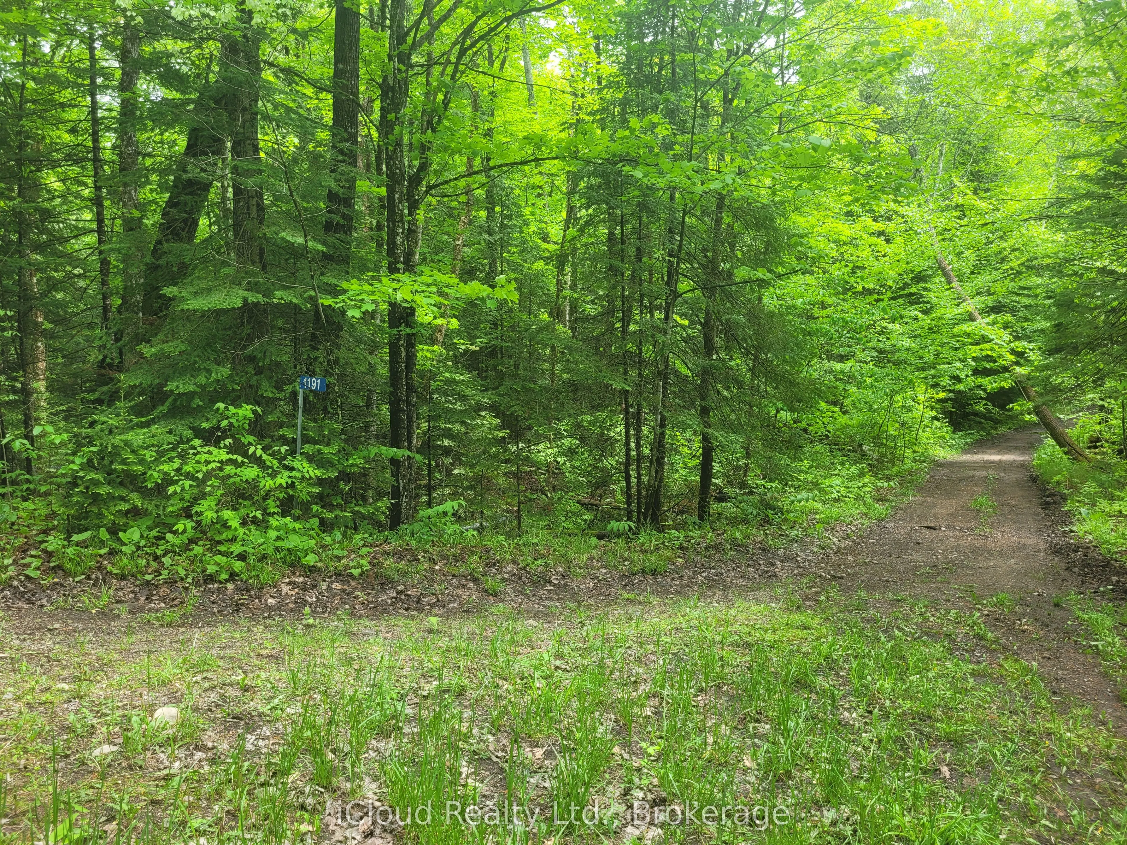 1191 Odessa Trail