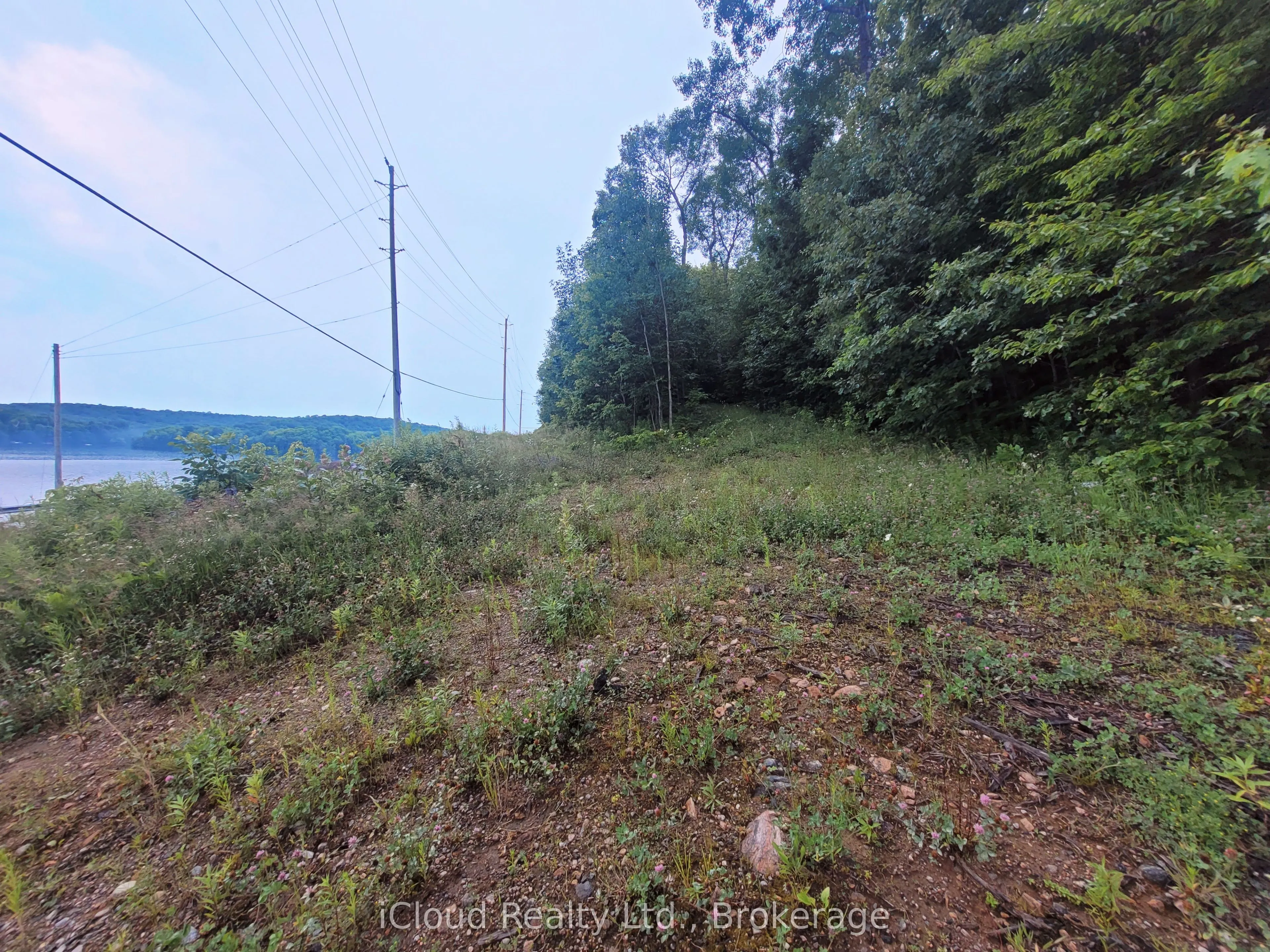1191 Odessa Trail