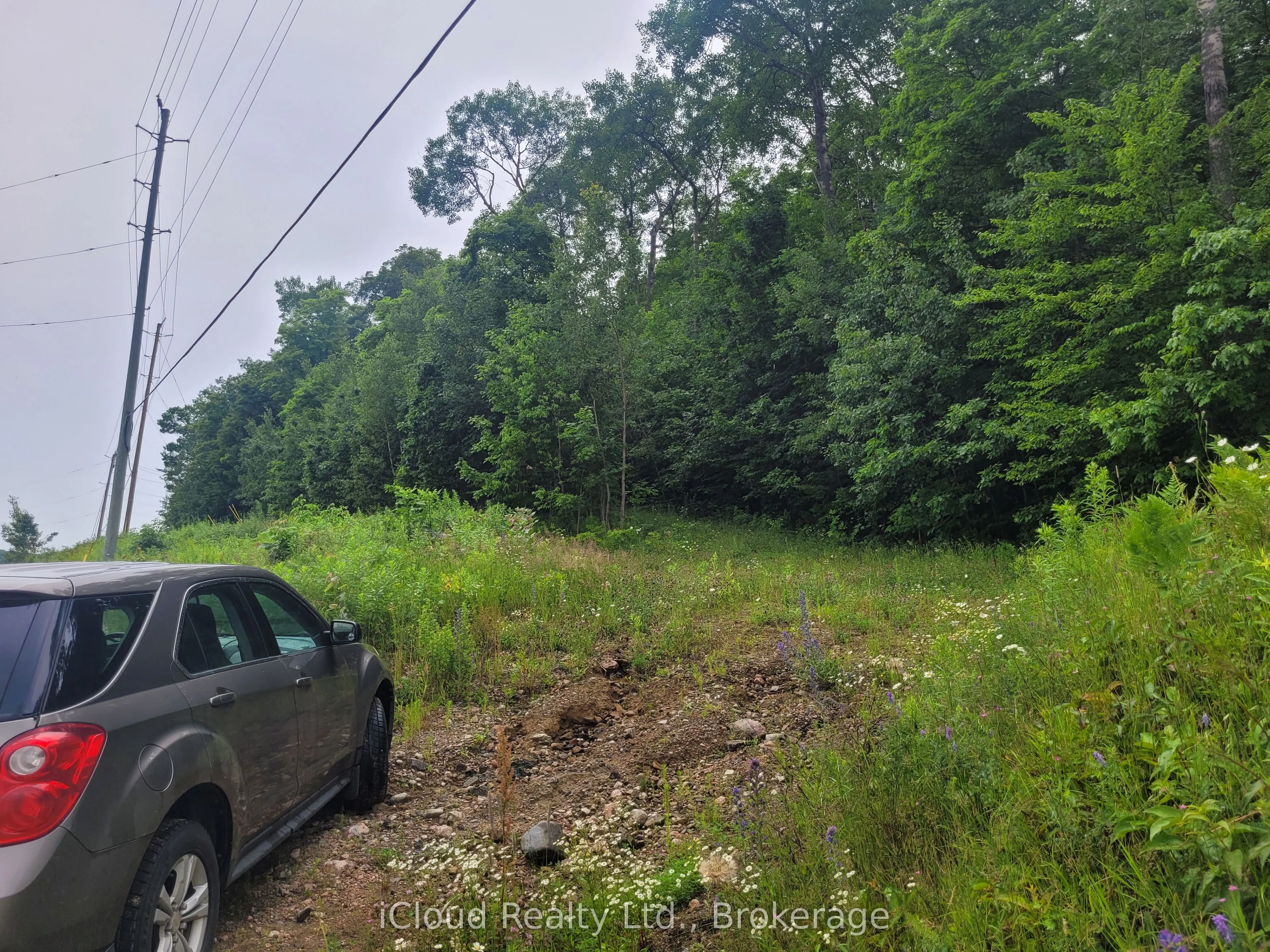 1191 Odessa Trail