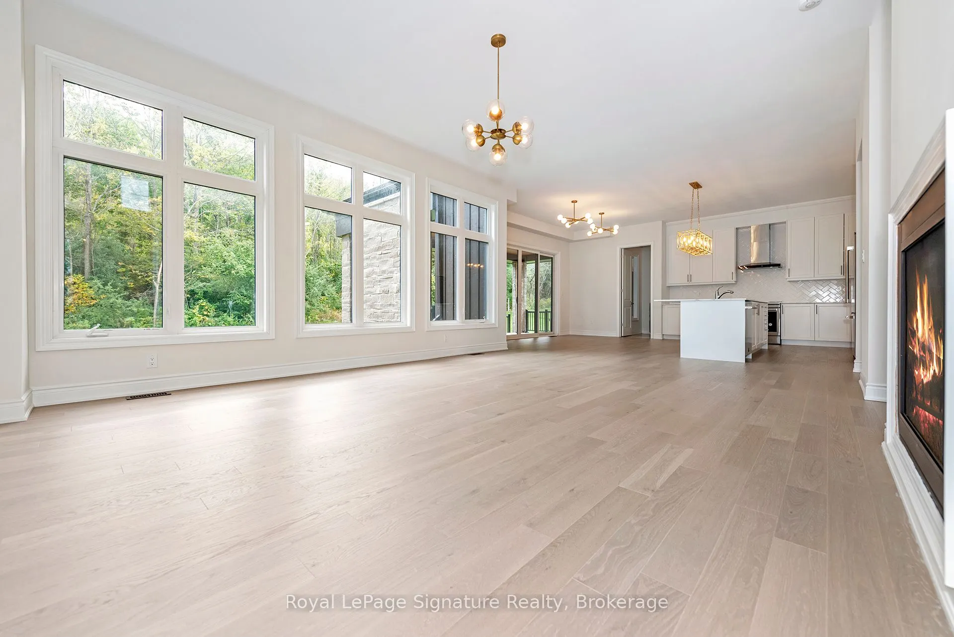 116 Dorothy Drive