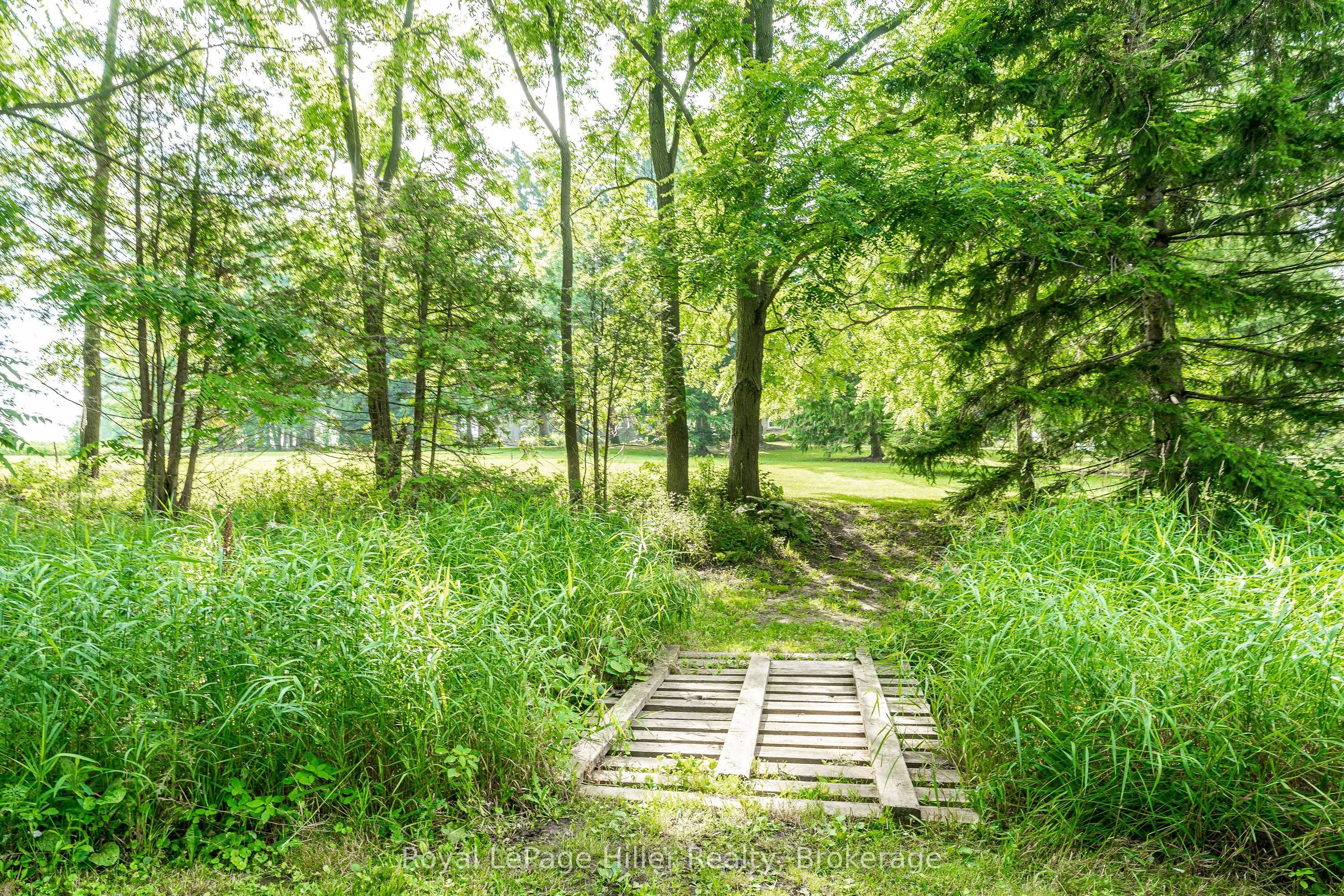 22742 Nissouri Road