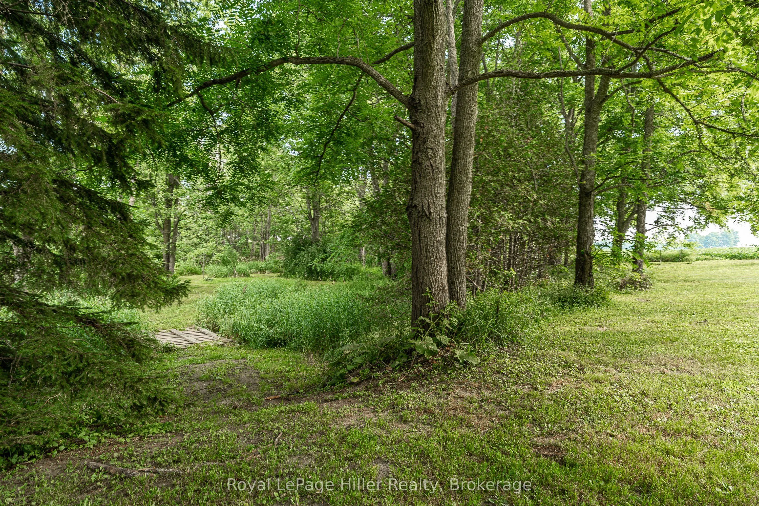 22742 Nissouri Road