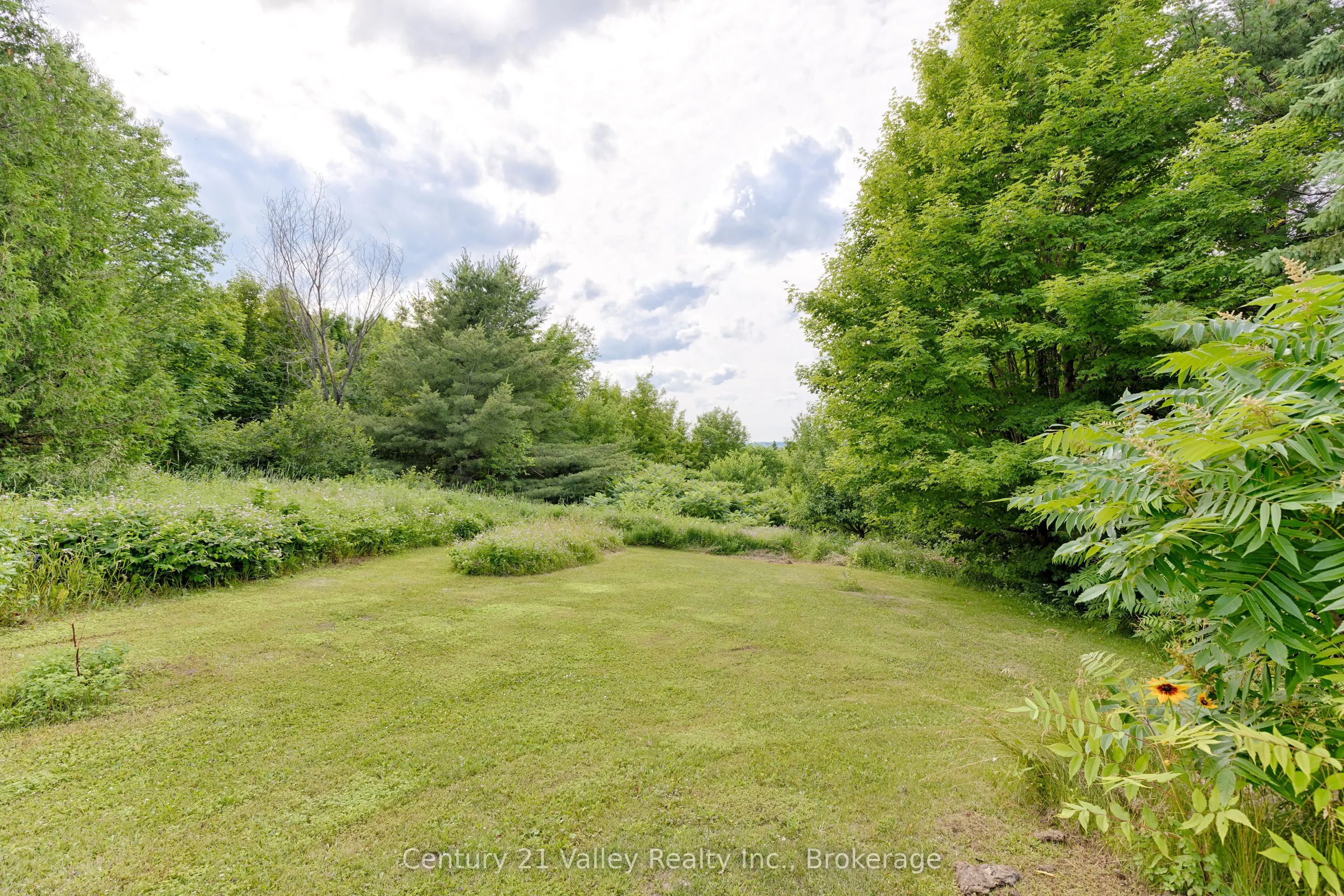 19 Algonquin Road