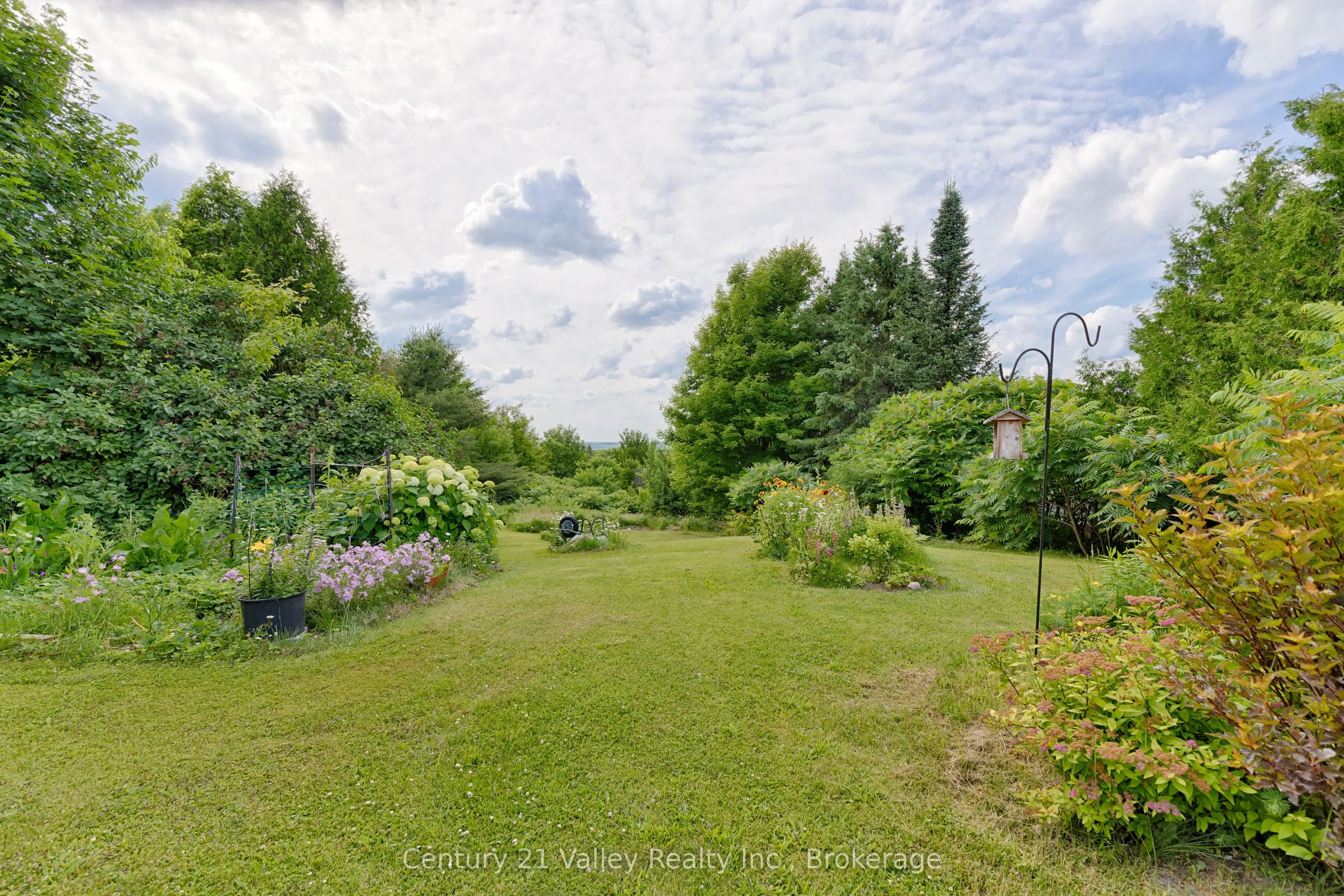 19 Algonquin Road