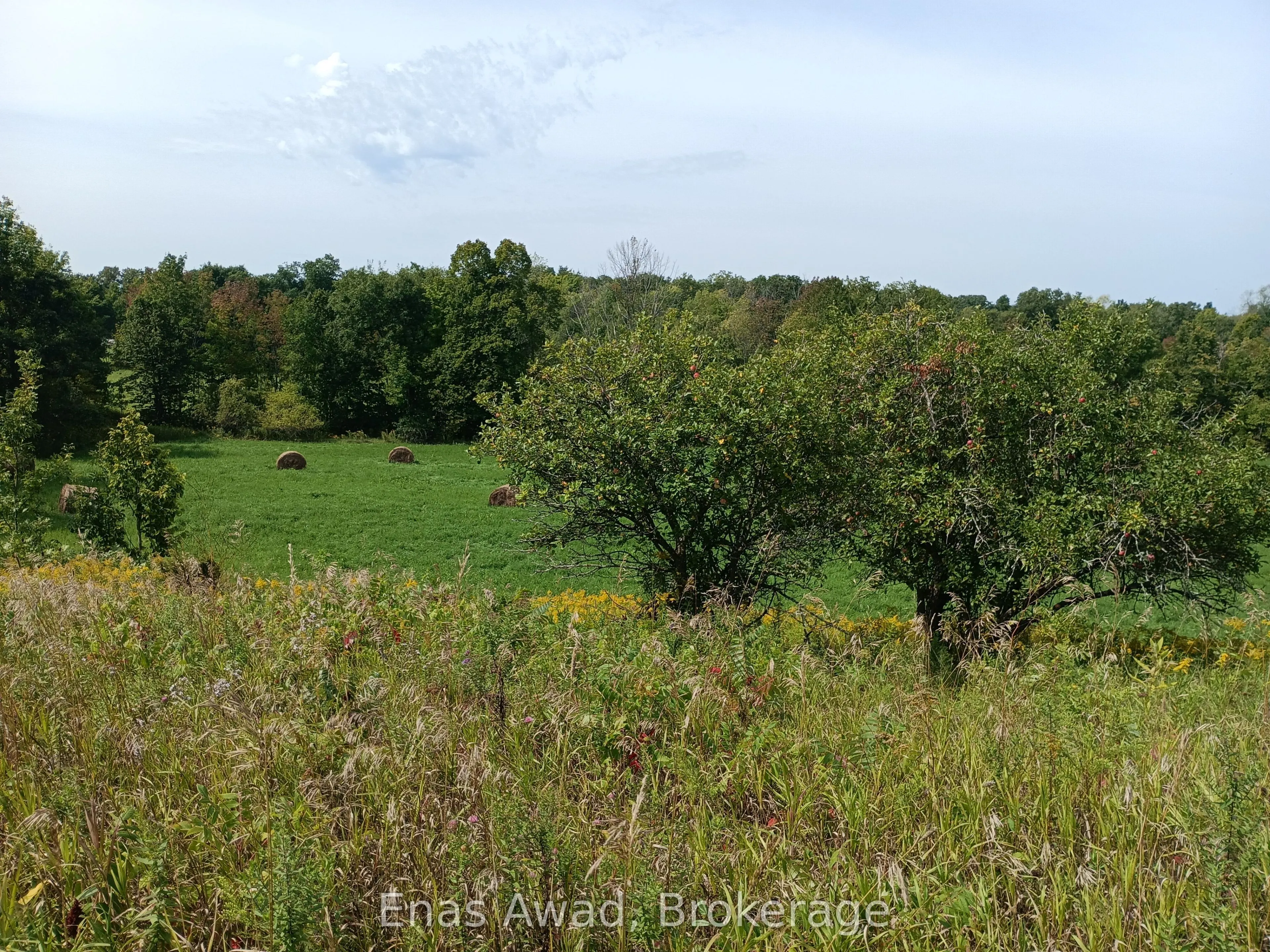 195 Prest Road