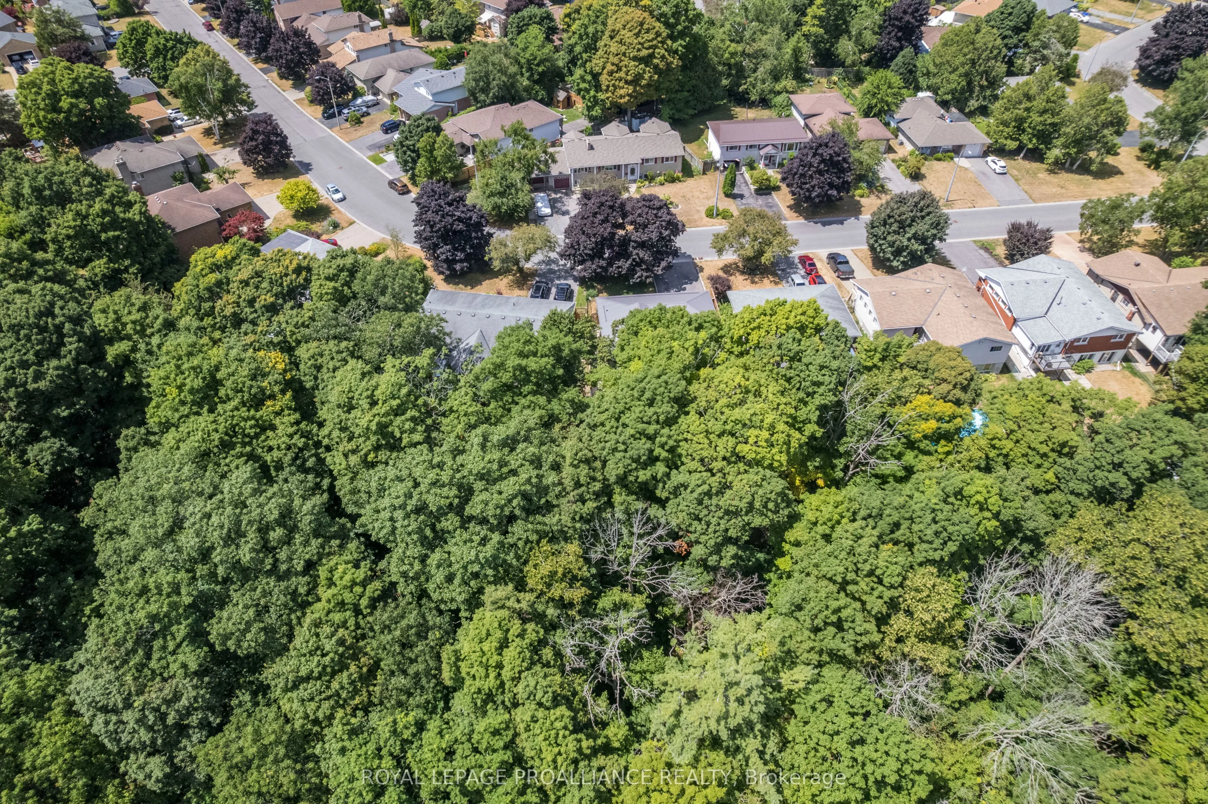 56 Parkview Heights