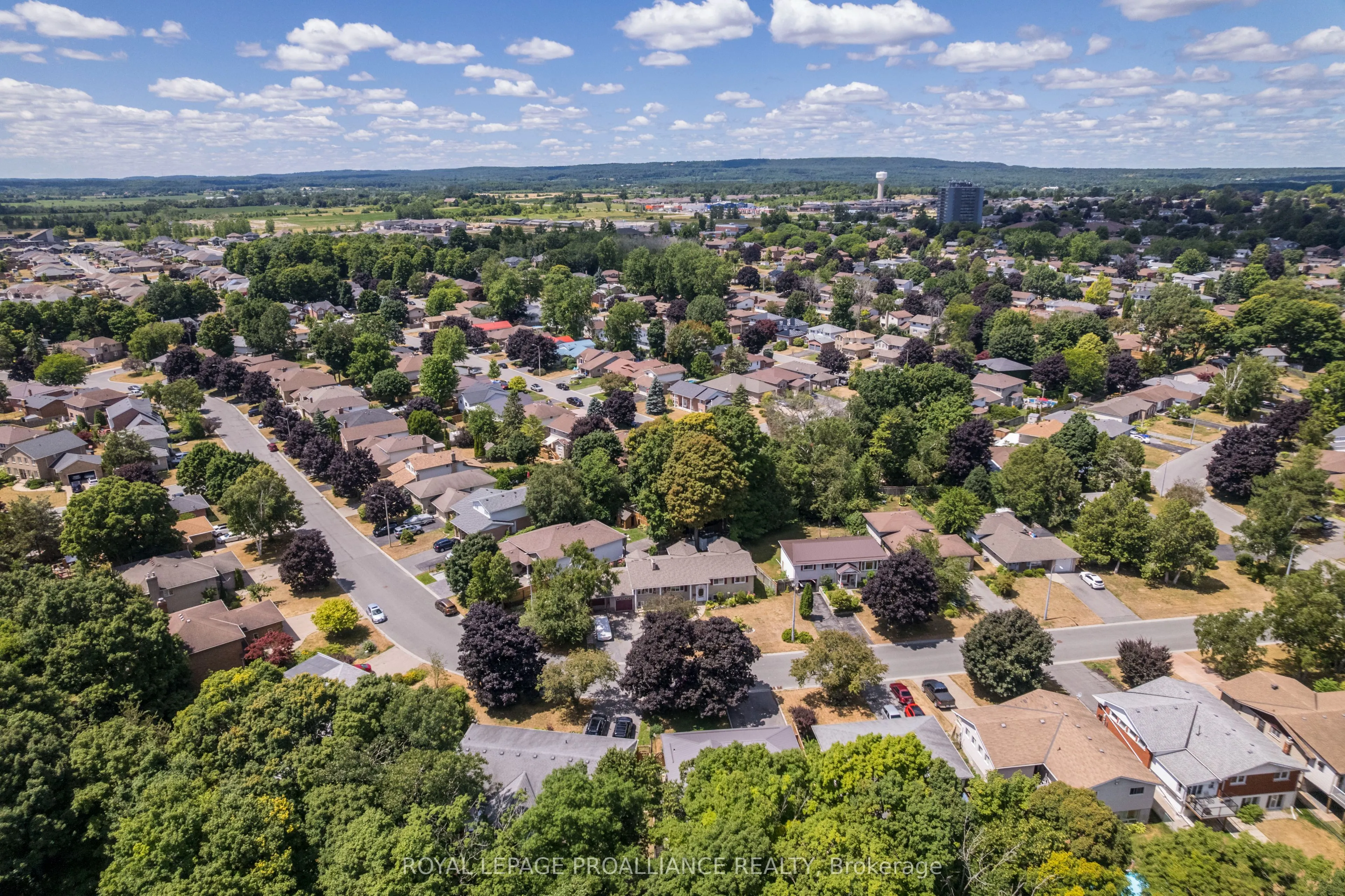56 Parkview Heights
