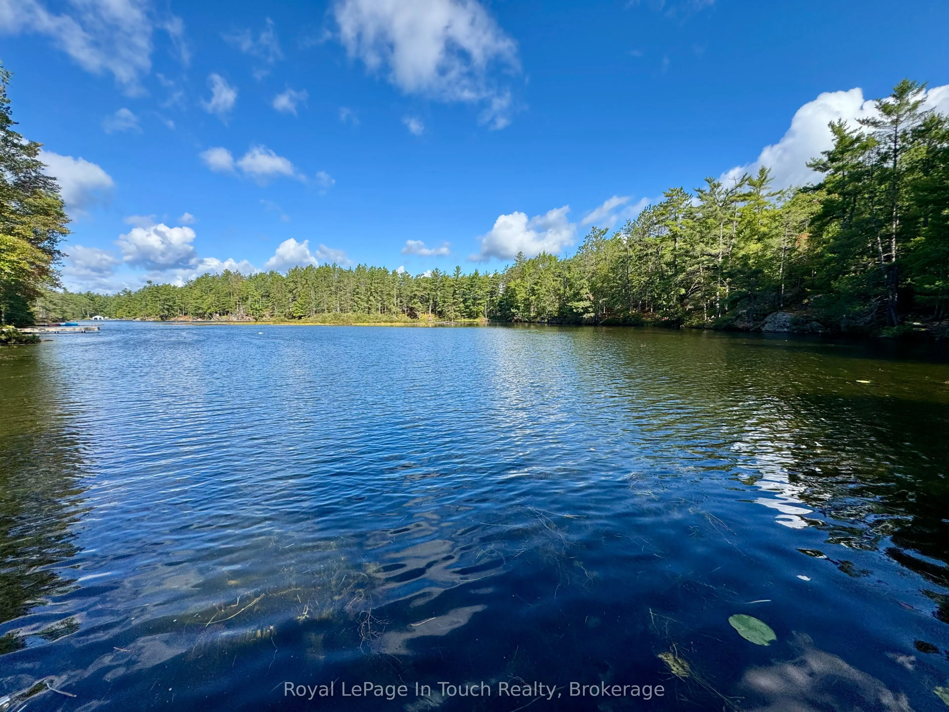 2 Severn River Shore