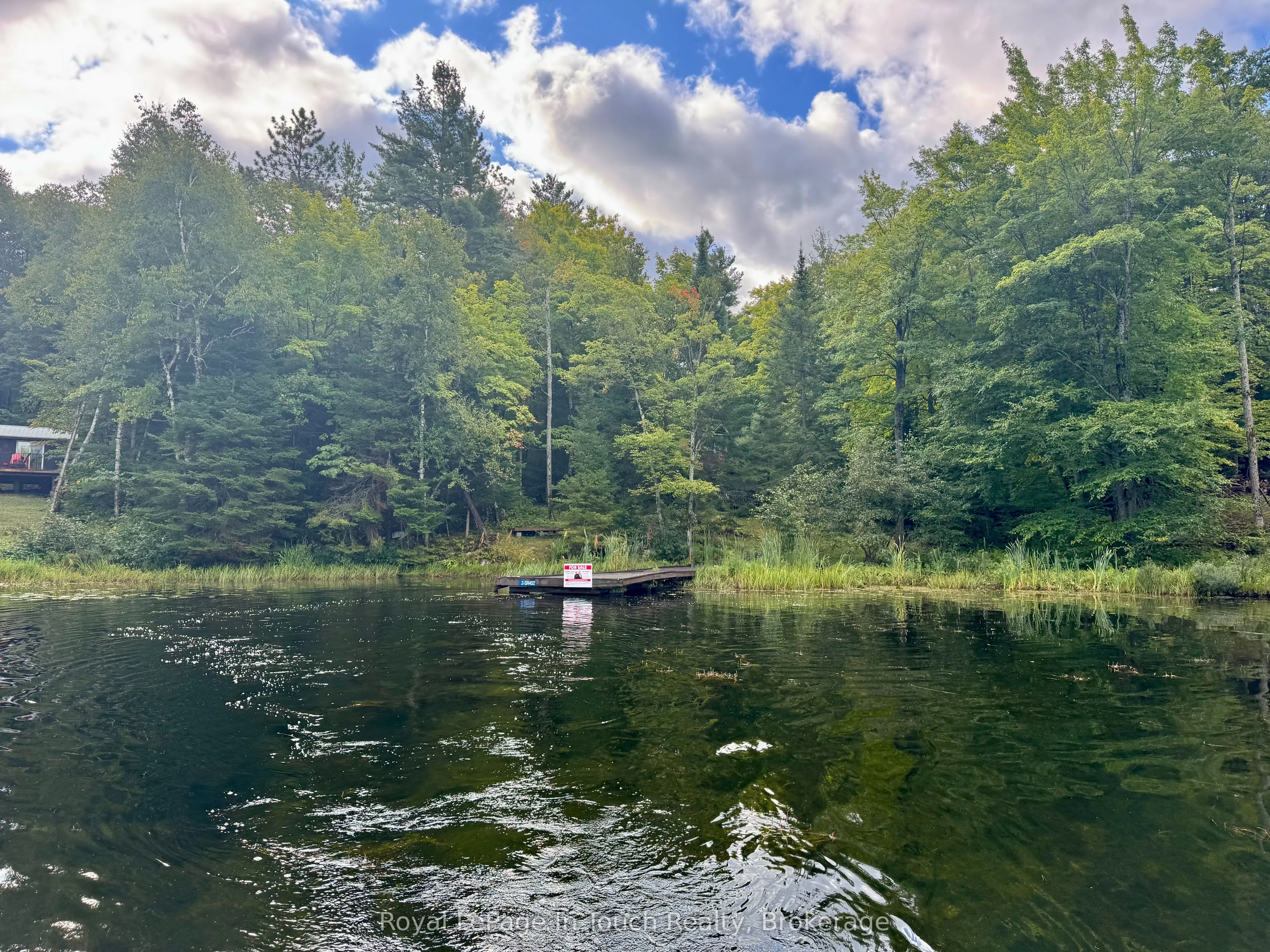 2 Severn River Shore