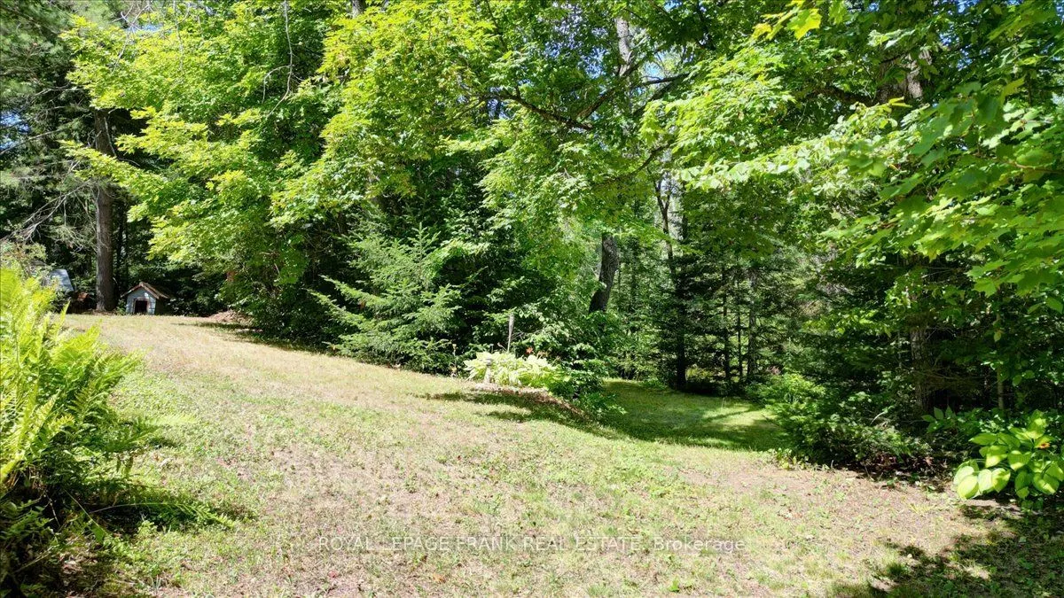 119 McFadden Road