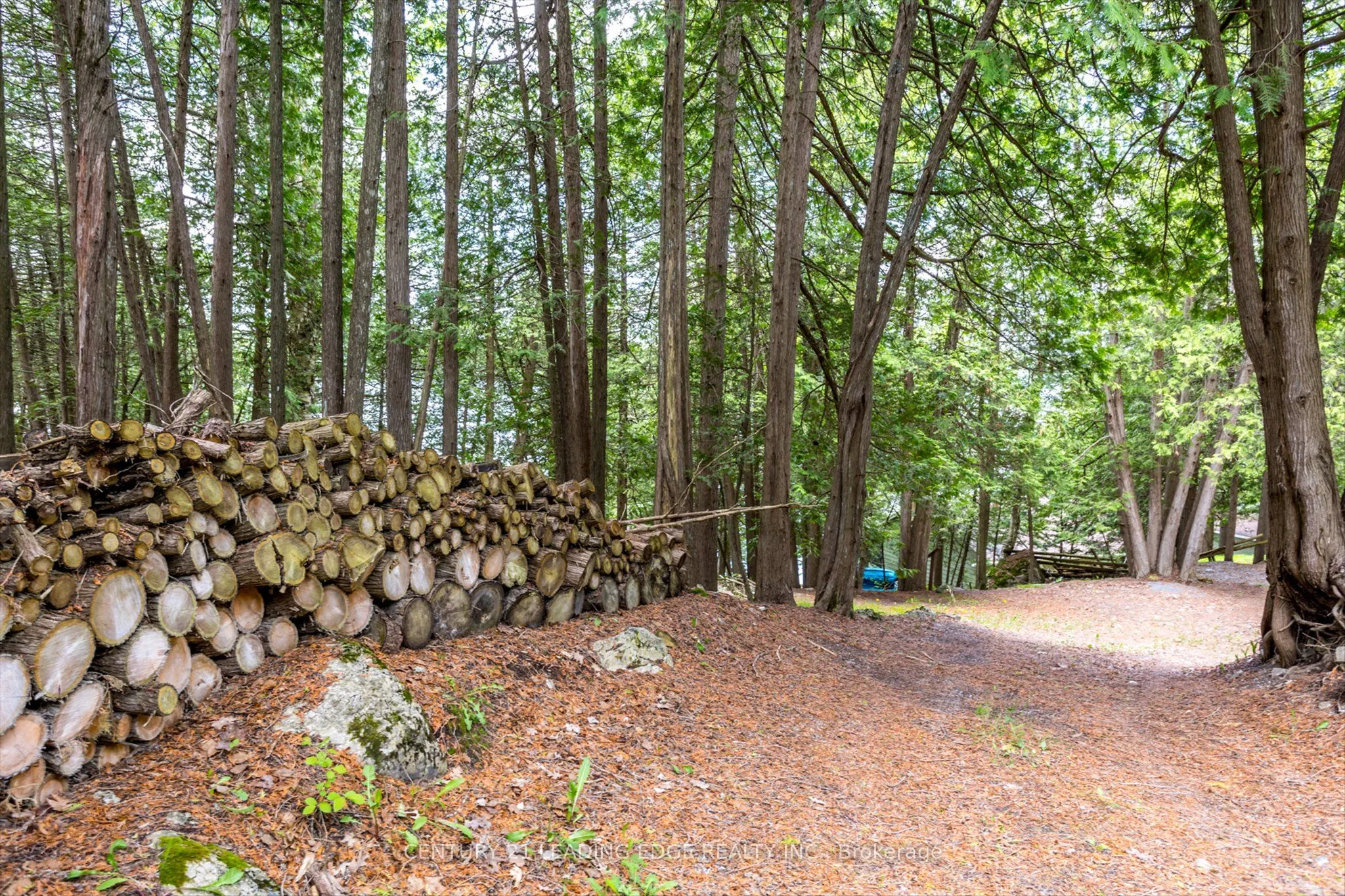1956 WHITE LAKE Road E