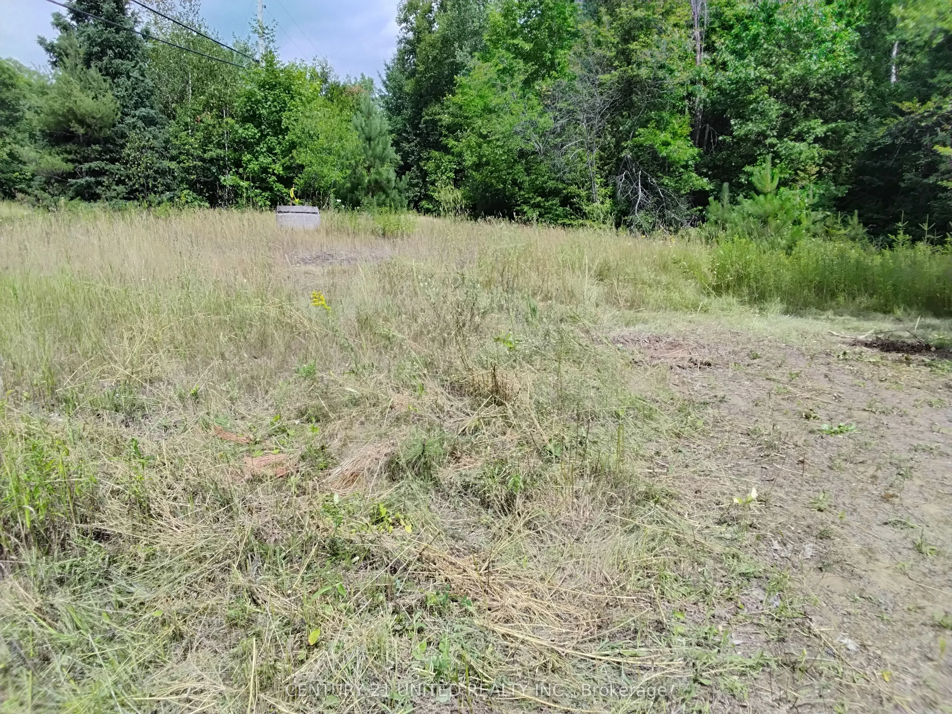 2039 County Road 620
