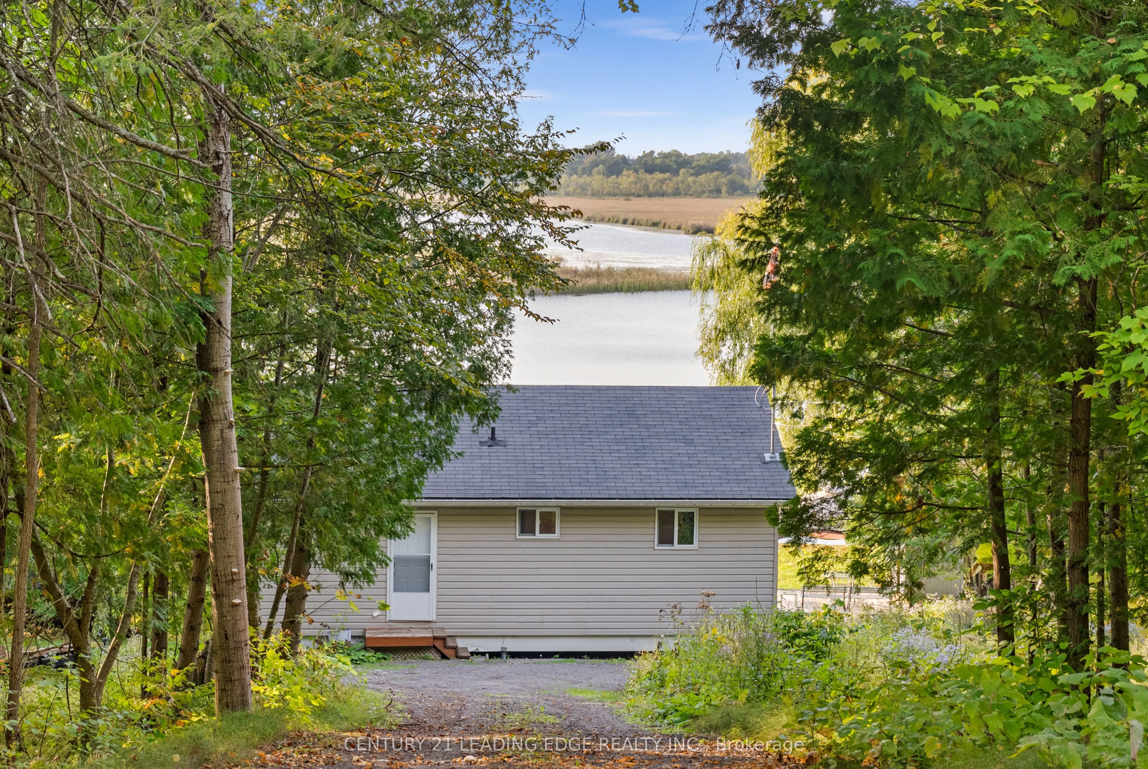 50 Cedar Lane