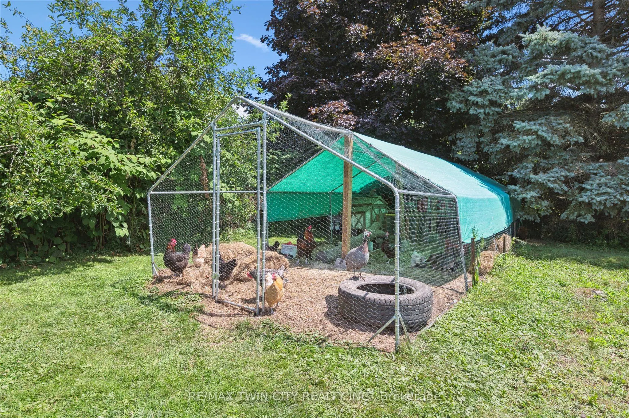 585033 County 9 Road
