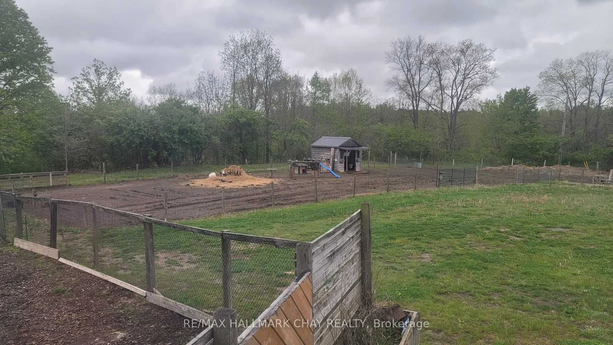 21298 Springfield Road