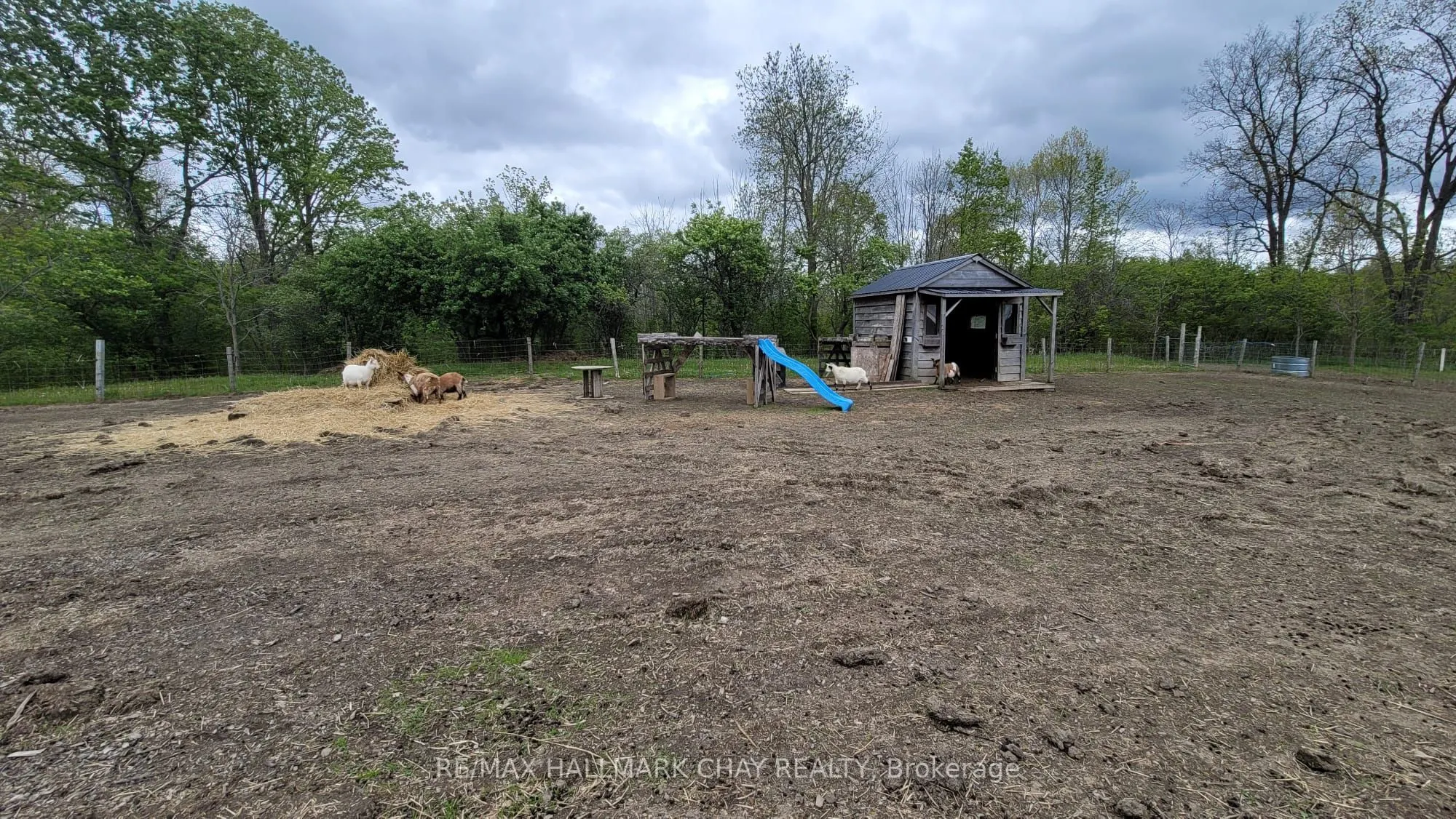 21298 Springfield Road