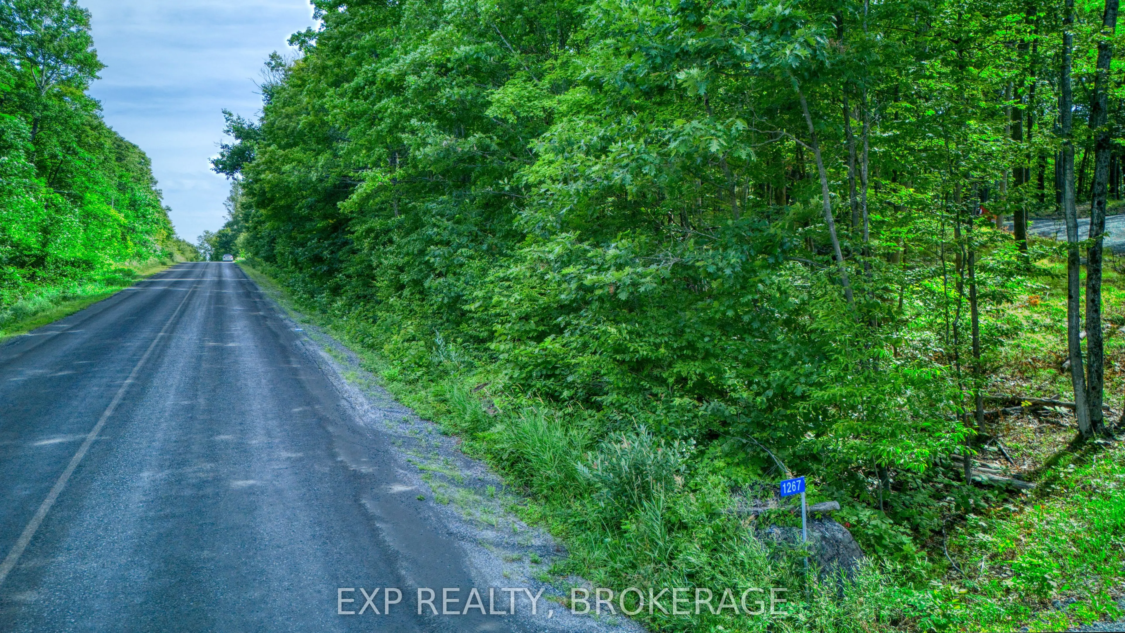 1267 CROW LAKE Road