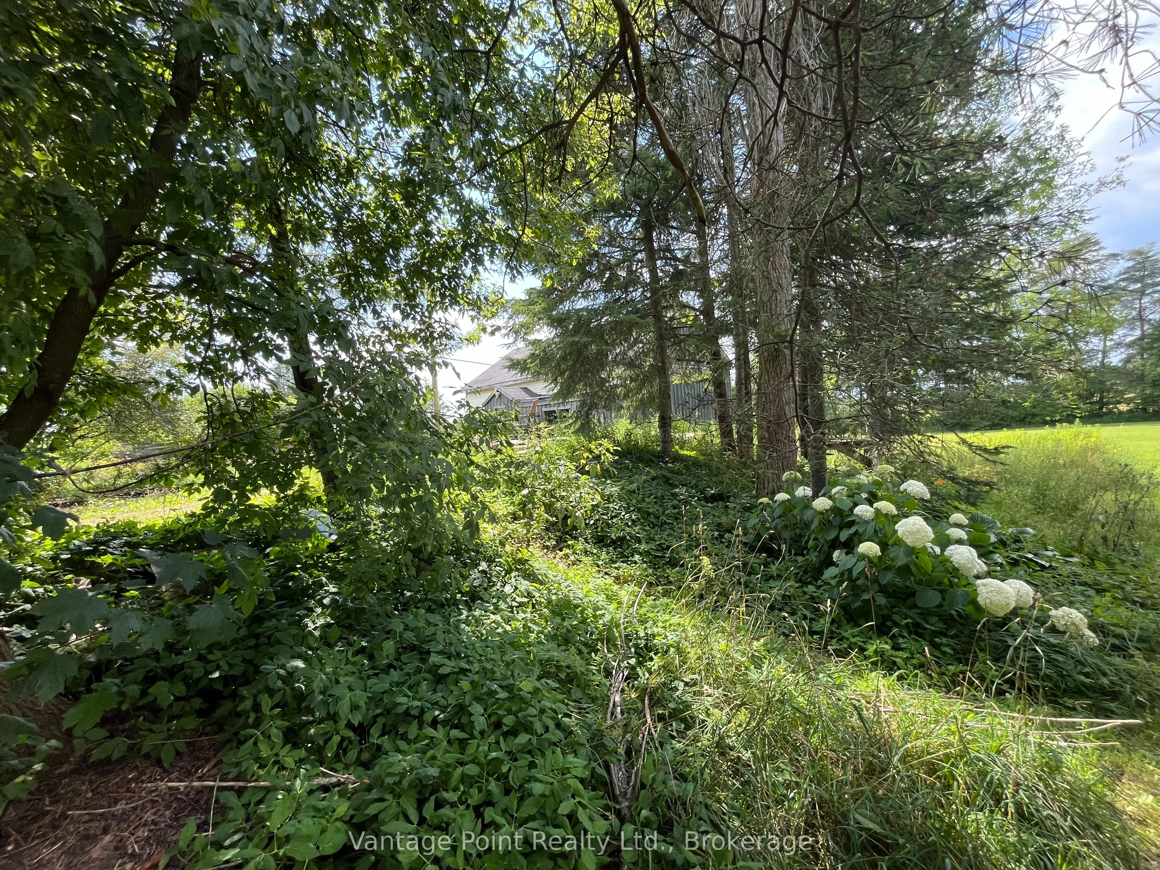 560335 70 Side Road