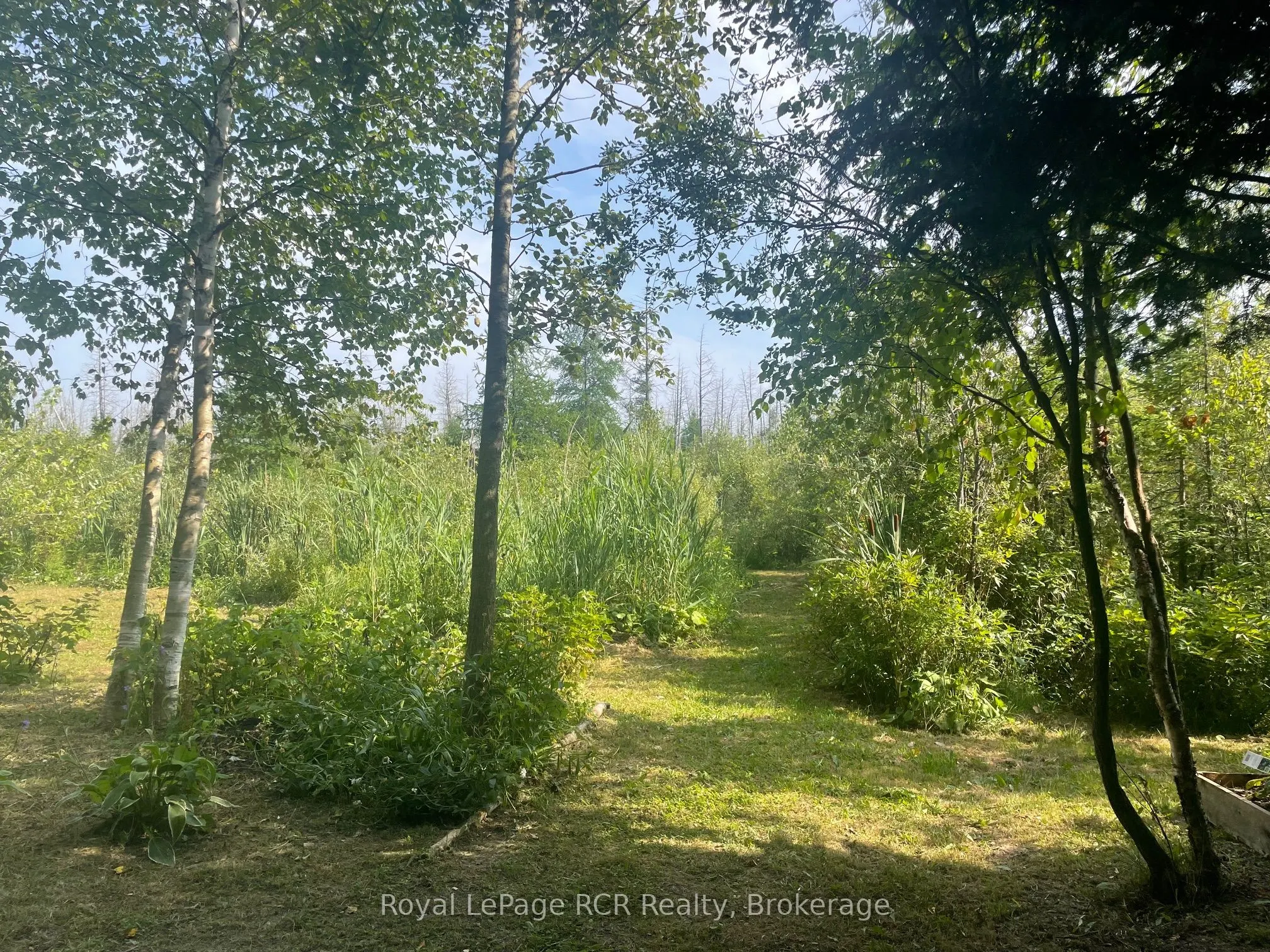 Lot 6 12th Concession B